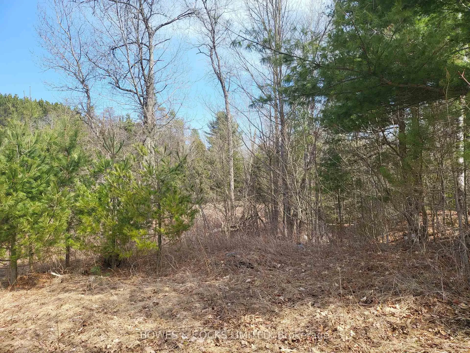 Photo 17 of 26642 Highway 62 S, Bancroft, Dungannon Ward — HOMEH
