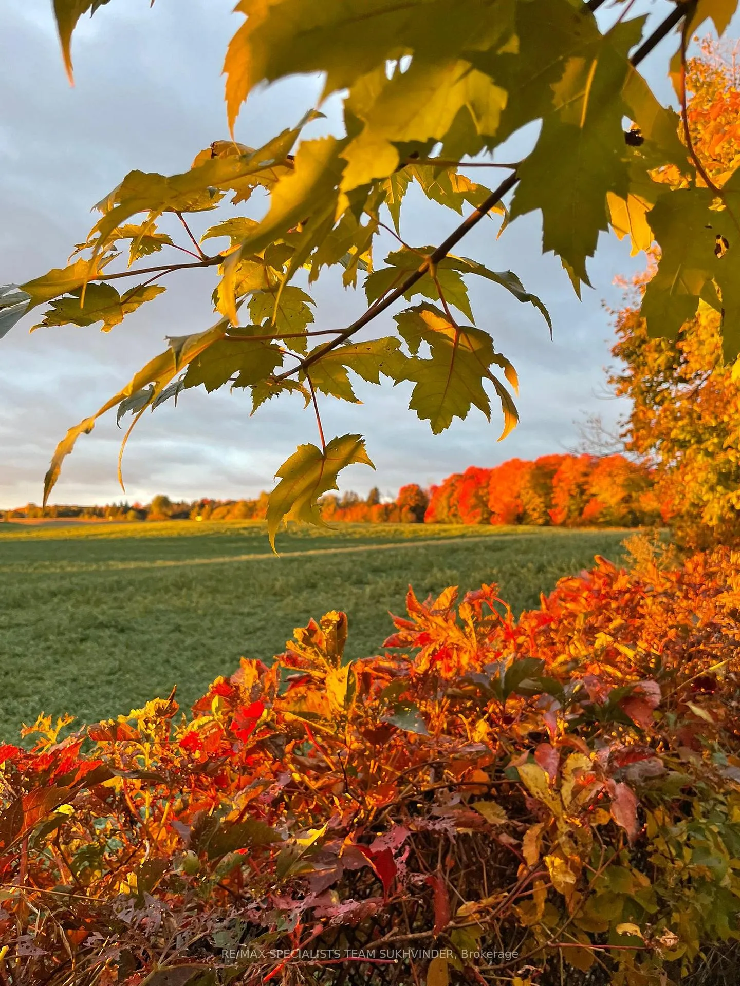 Photo 34 of 5 Cedar Allan Place, Caledon, Palgrave — HOMEH