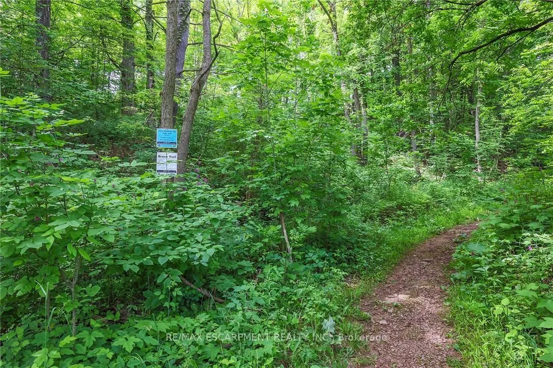 Photo 39 of 57 Cline Mountain Road, Grimsby, Grimsby West — HOMEH