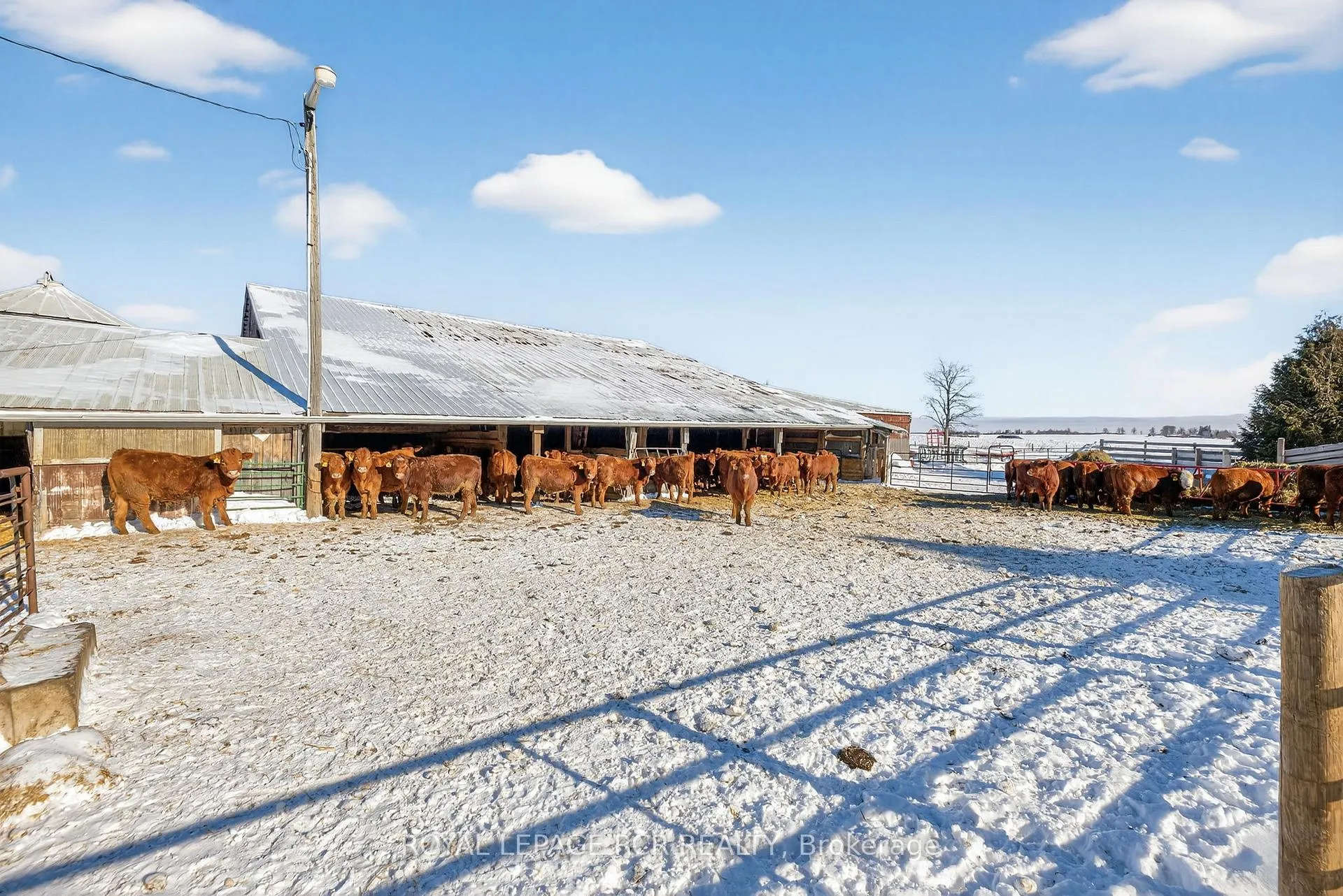 Photo 33 of 285277 County Road 10, Amaranth, Rural Amaranth — HOMEH