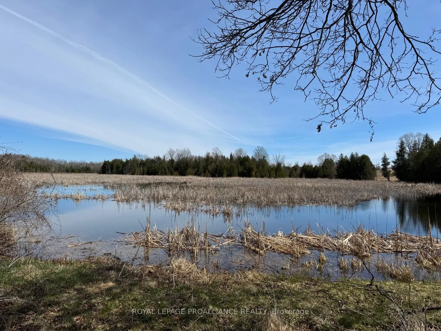 Photo 6 of 3085 Queensborough Road E, Madoc — HOMEH