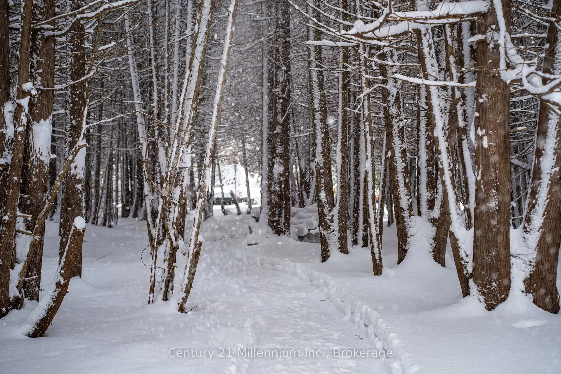 Photo 5 of 75 Albert Road, Kincardine — HOMEH