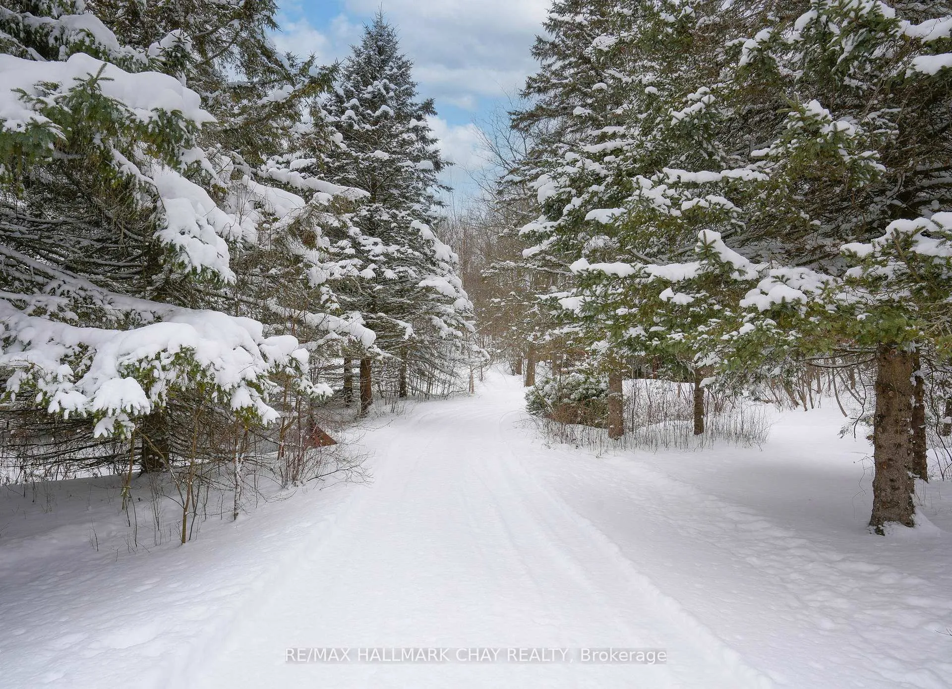 Photo 36 of 6 Mountainview Road, Mulmur, Rural Mulmur — HOMEH
