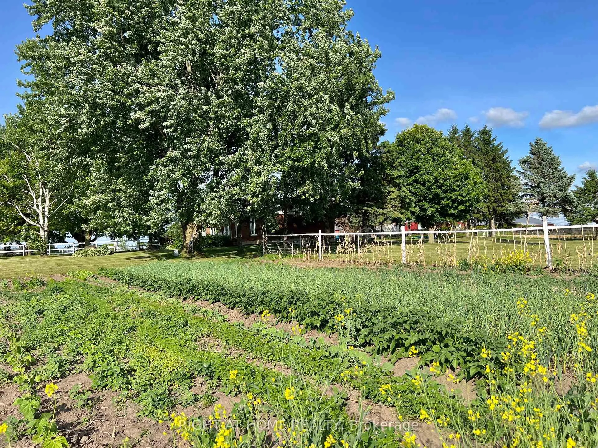 Photo 47 of 6181 Malakoff Road, Ottawa, Rideau Twp South To Roger Stevens Drive — HOMEH
