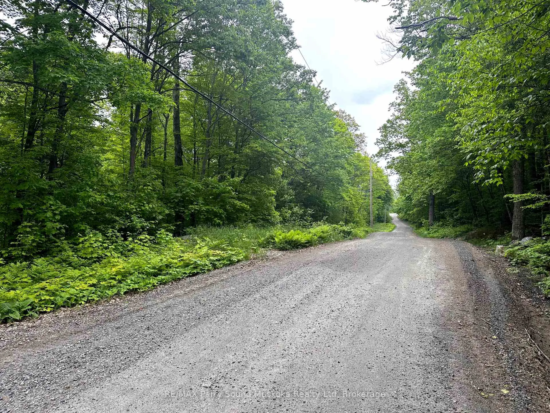 Photo 1 of 3 Greenwood Camp Road, Seguin — HOMEH