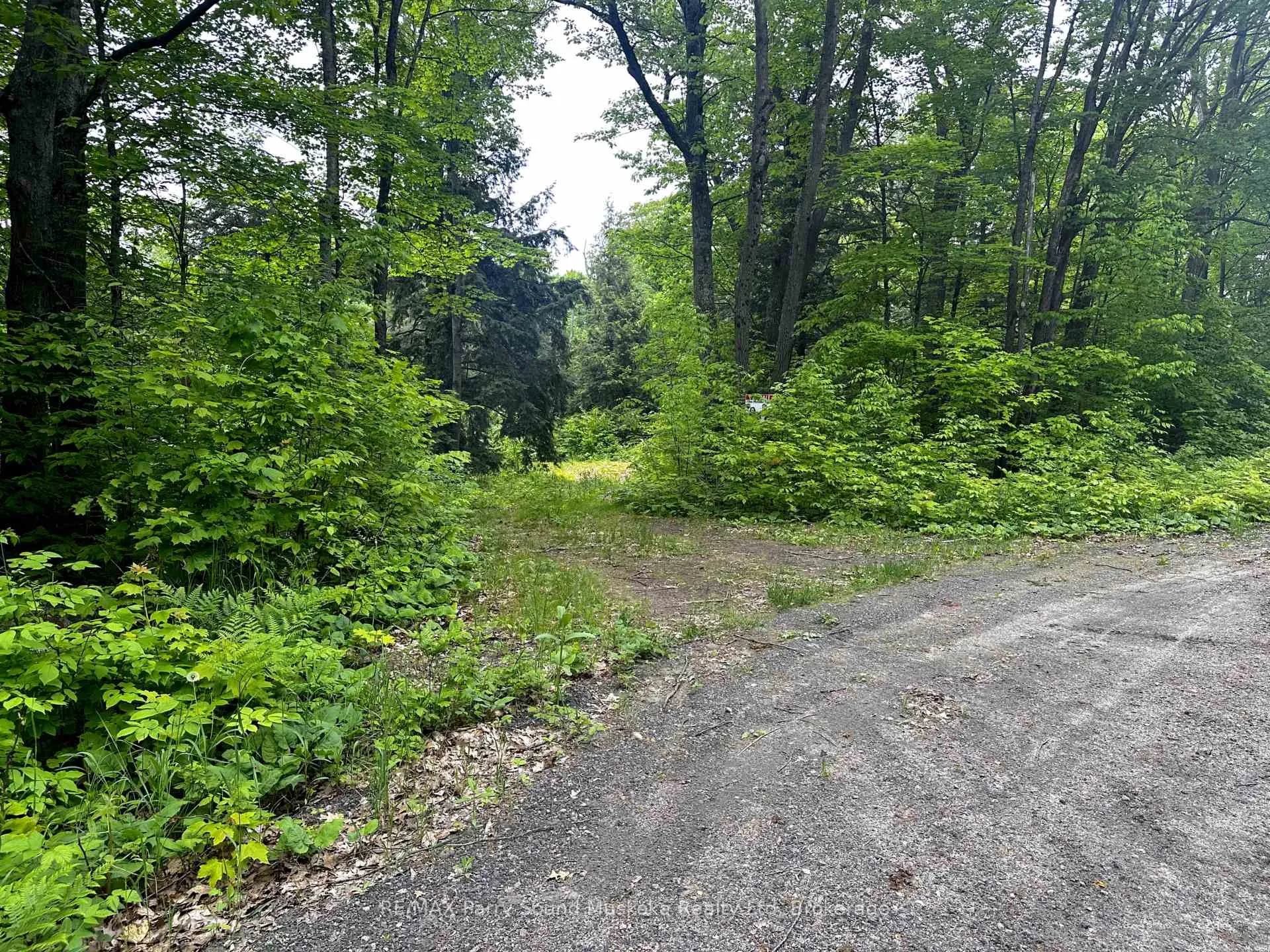 Photo 8 of 3 Greenwood Camp Road, Seguin — HOMEH