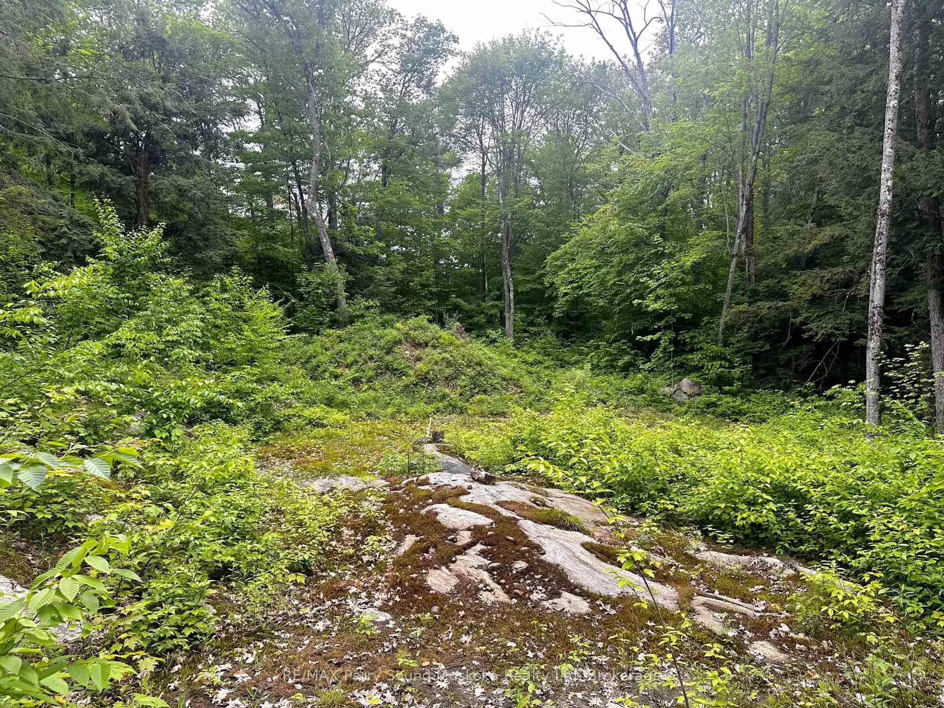 Photo 9 of 3 Greenwood Camp Road, Seguin — HOMEH