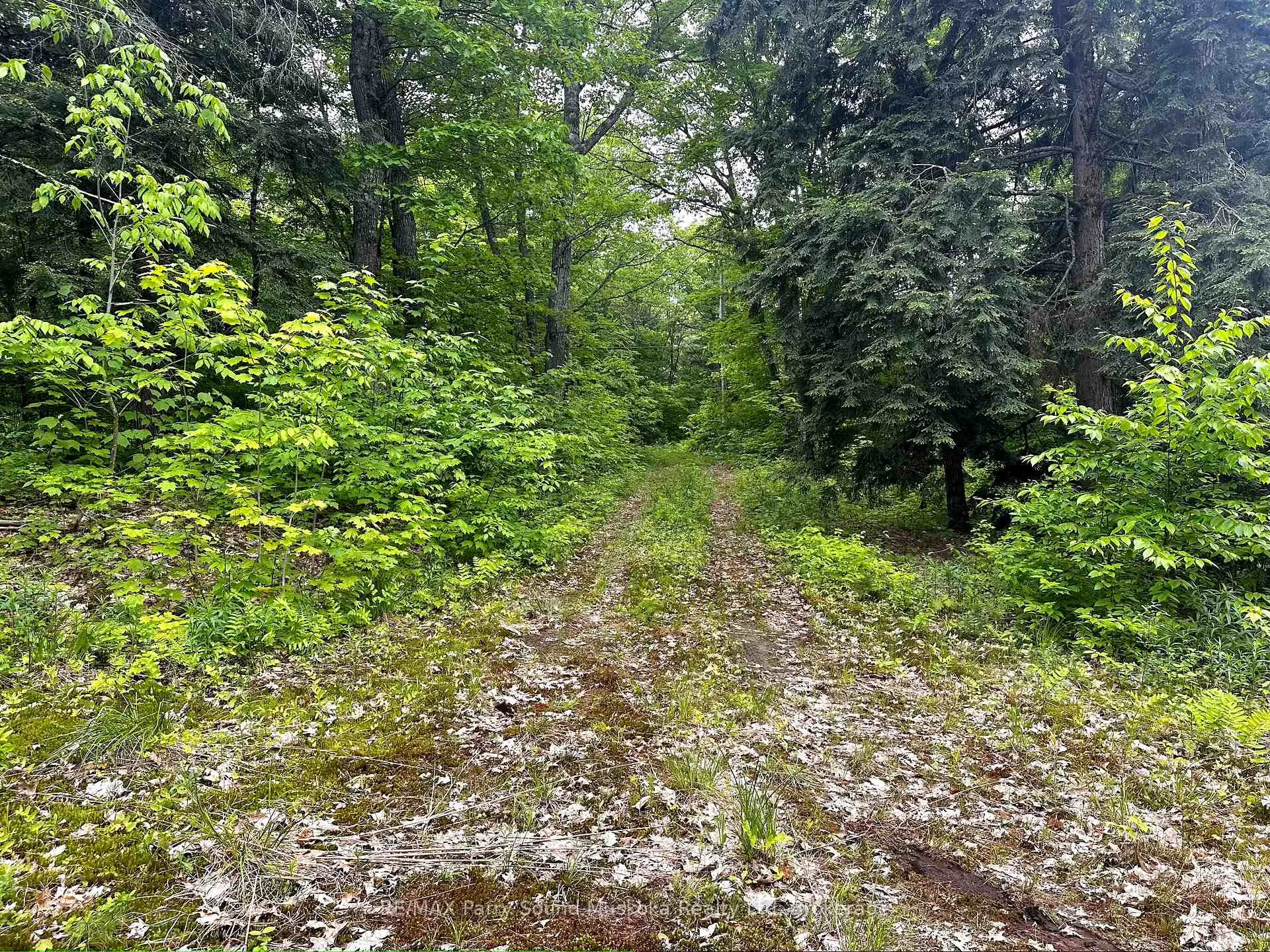 Photo 10 of 3 Greenwood Camp Road, Seguin — HOMEH