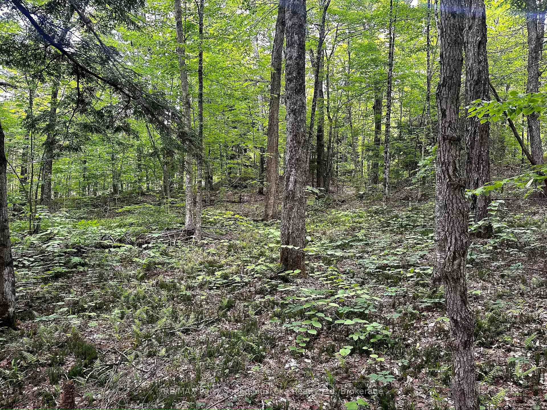 Photo 11 of 3 Greenwood Camp Road, Seguin — HOMEH