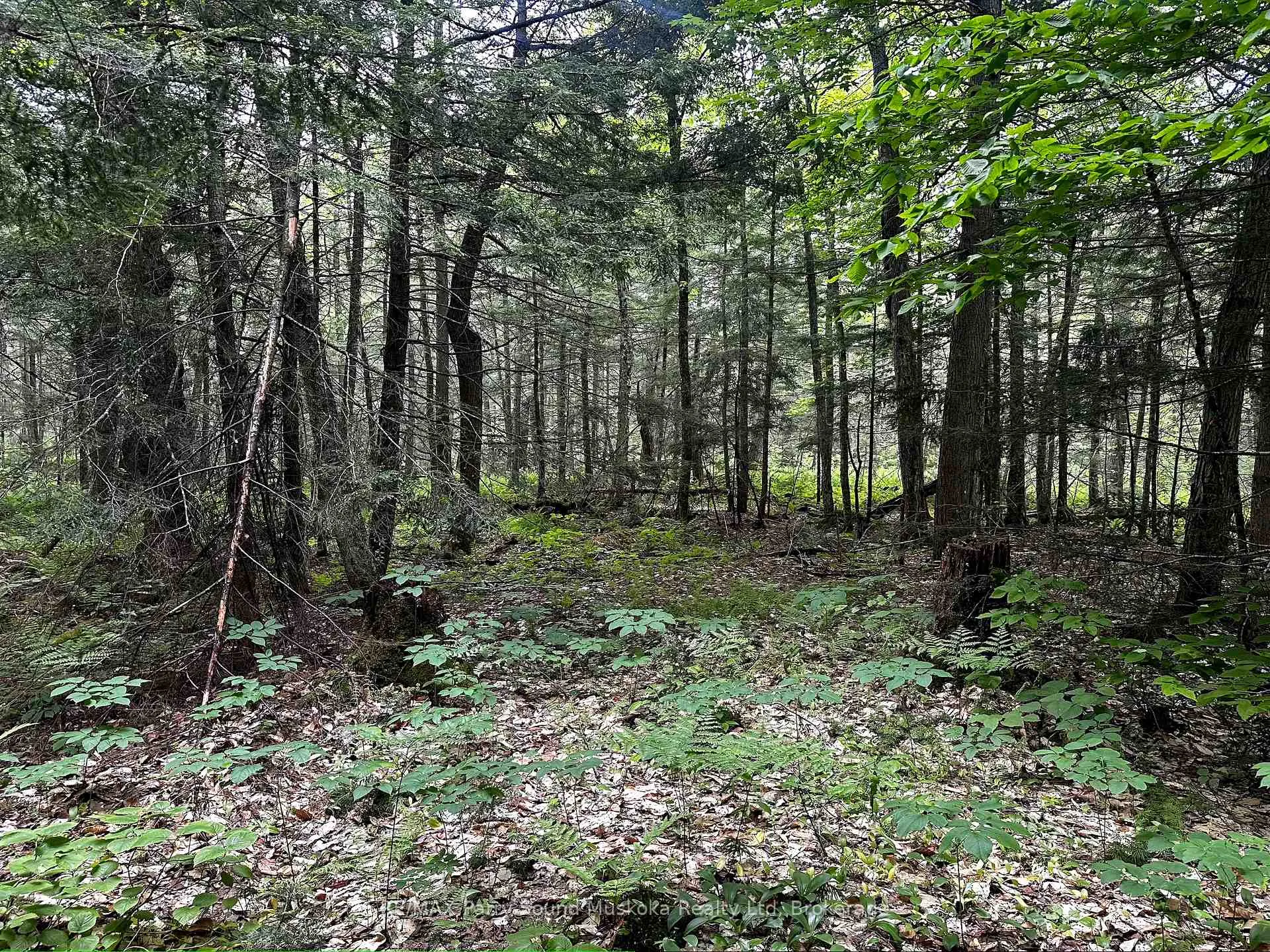Photo 12 of 3 Greenwood Camp Road, Seguin — HOMEH