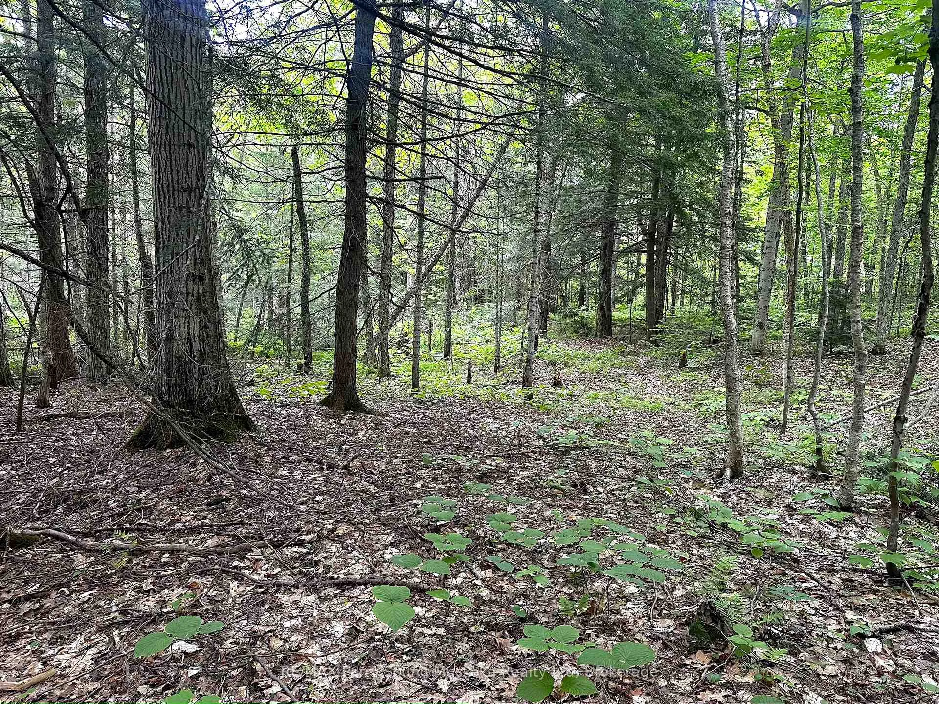 Photo 13 of 3 Greenwood Camp Road, Seguin — HOMEH