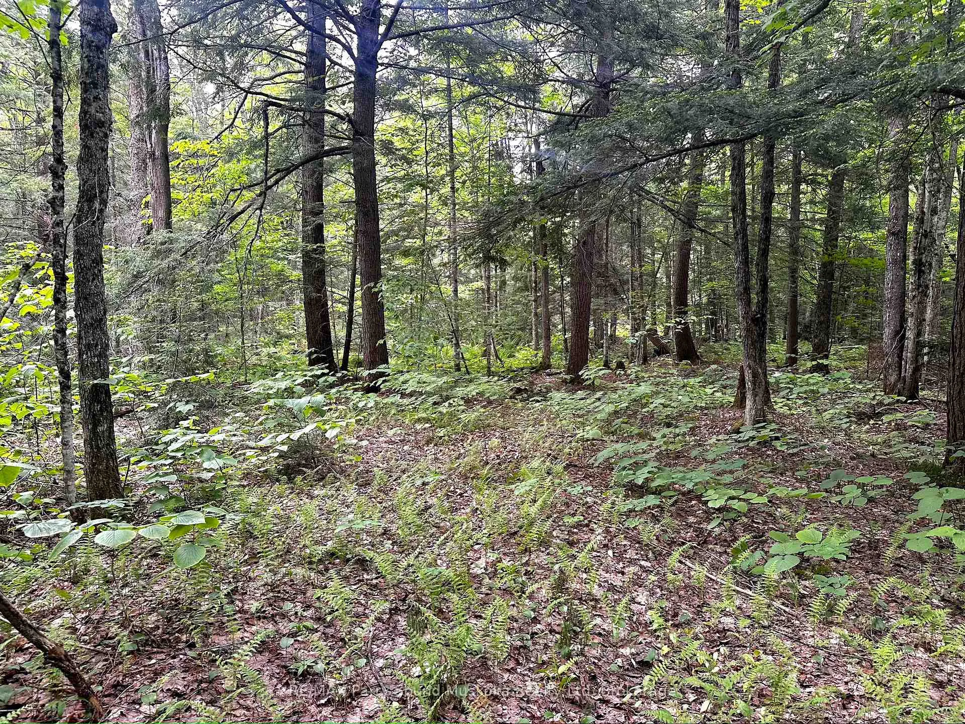 Photo 14 of 3 Greenwood Camp Road, Seguin — HOMEH