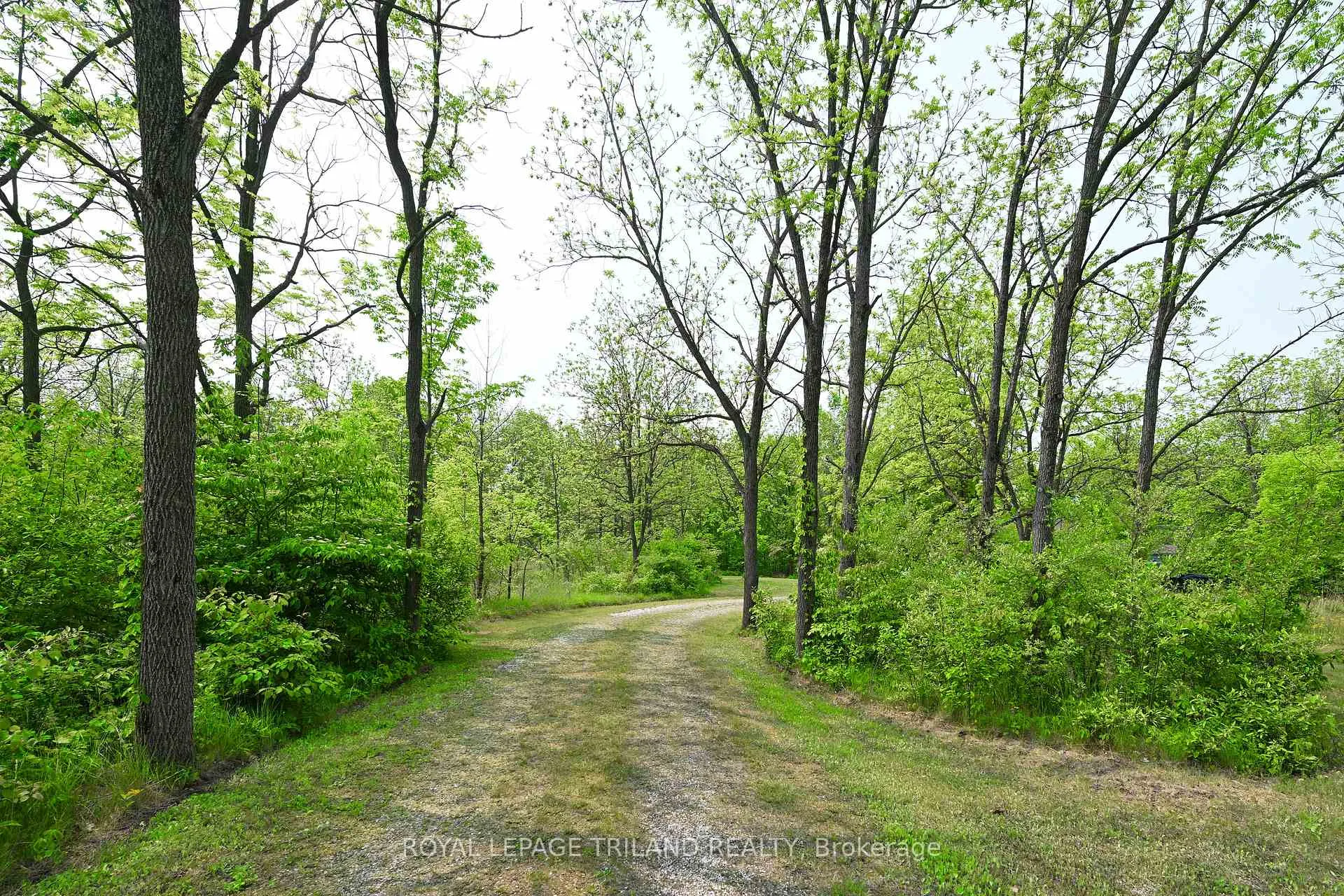 Photo 26 of 253 Elginfield Road, North Middlesex, Rural North Middlesex — HOMEH