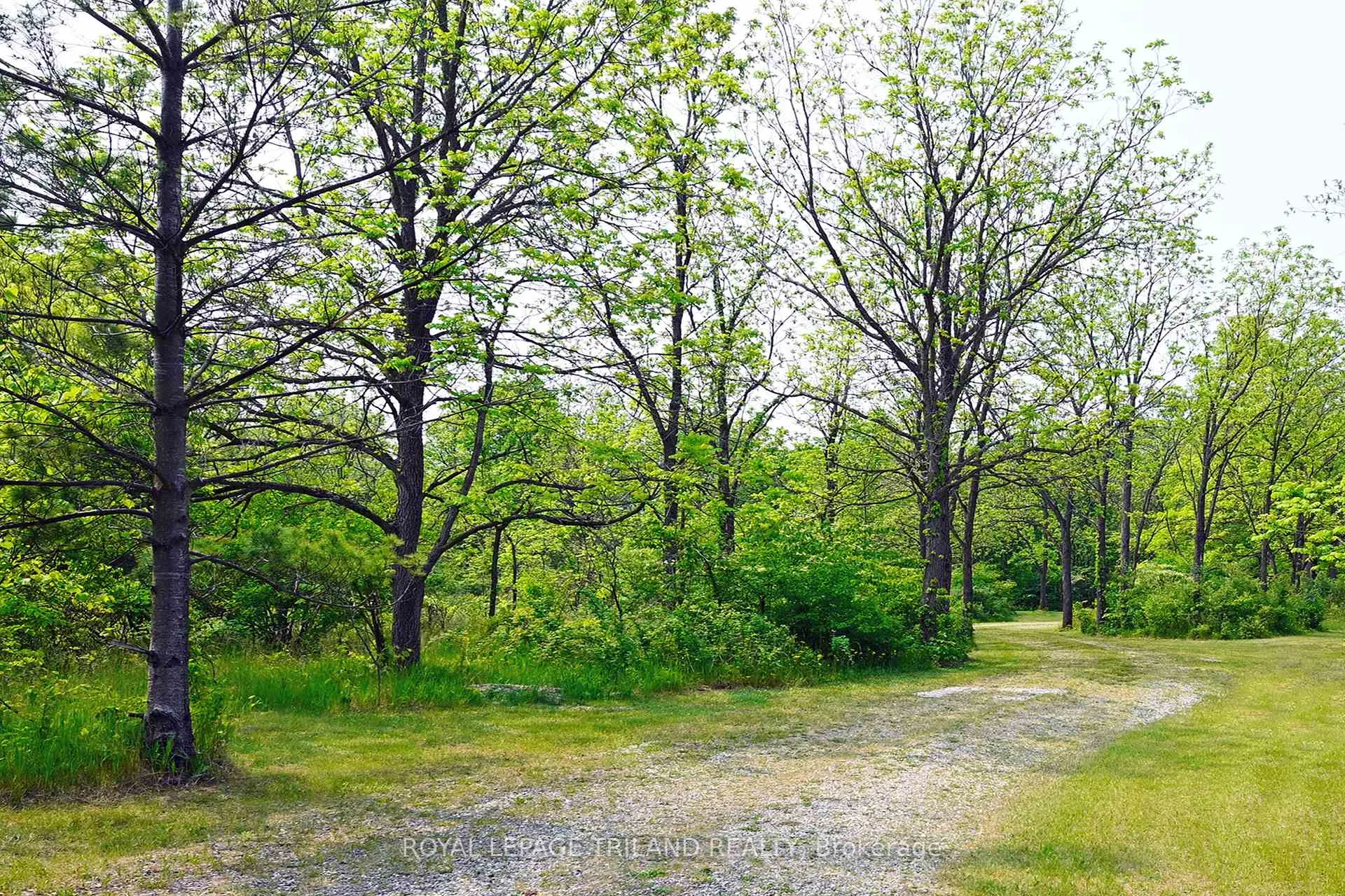 Photo 27 of 253 Elginfield Road, North Middlesex, Rural North Middlesex — HOMEH