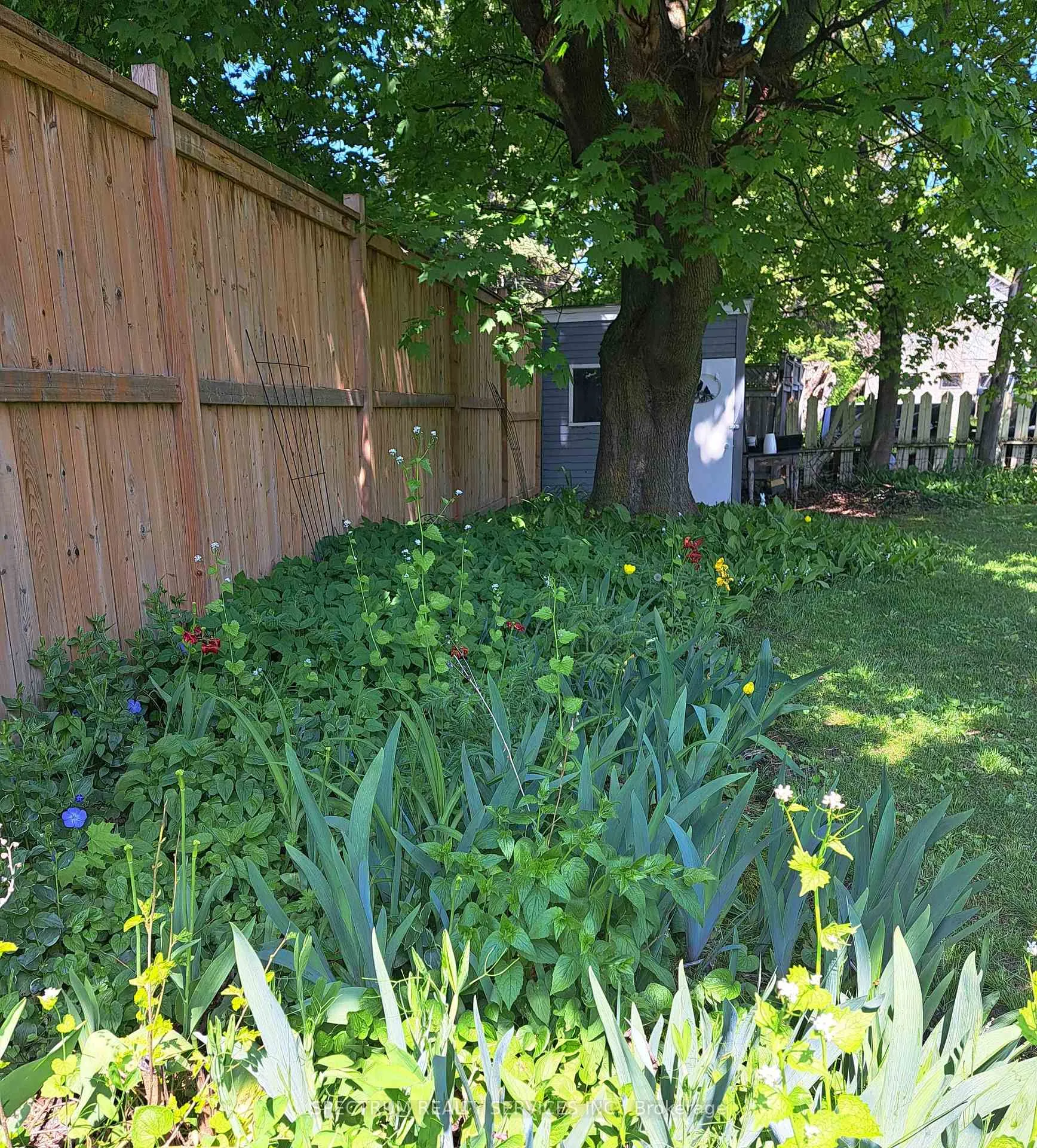 Photo 15 of 8 Victory Drive, Collingwood — HOMEH