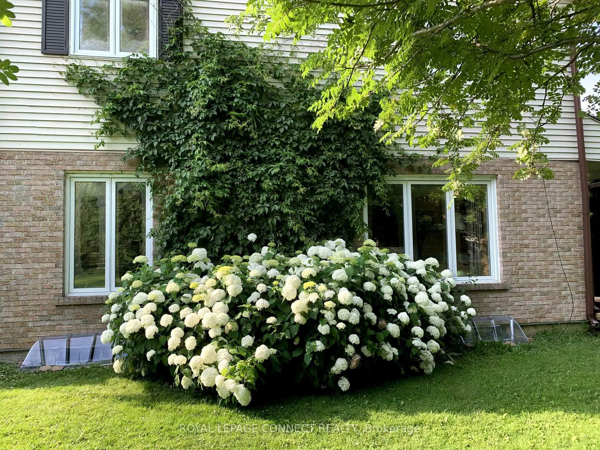 Photo 39 of 10 Christie Crescent, Scugog, Rural Scugog — HOMEH