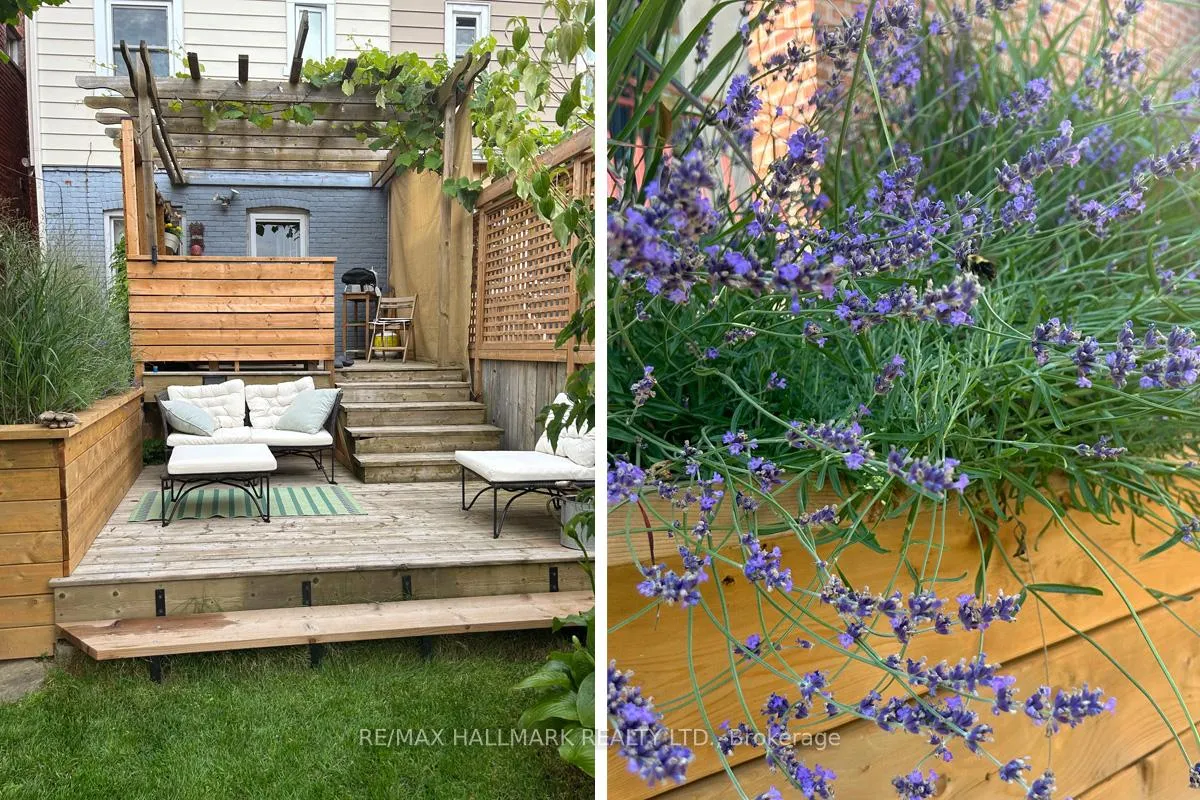 Photo 31 of 134 Cedric Avenue, Toronto, Oakwood Village — HOMEH