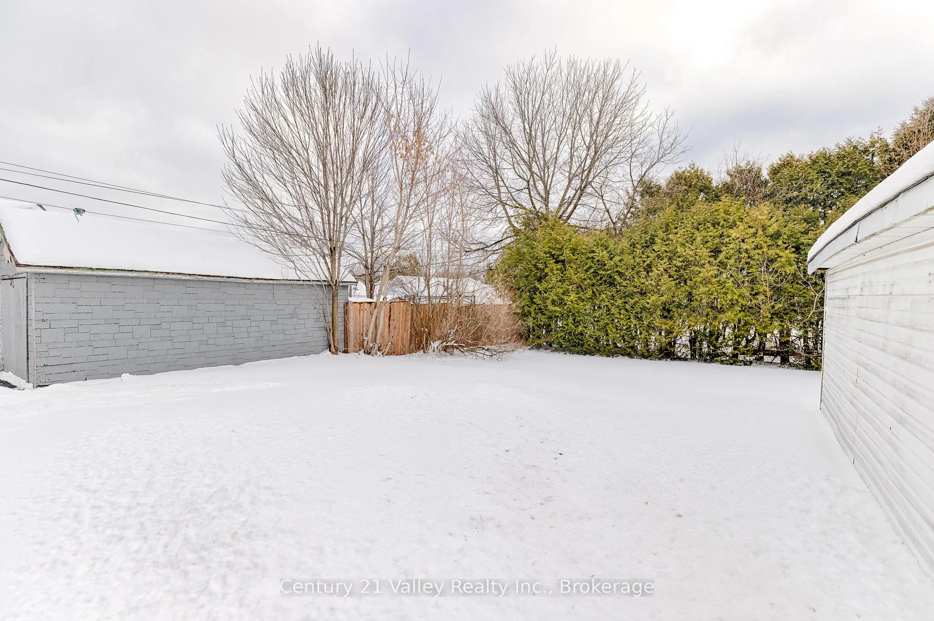 Photo 3 of 347 Joffre Avenue, Renfrew — HOMEH