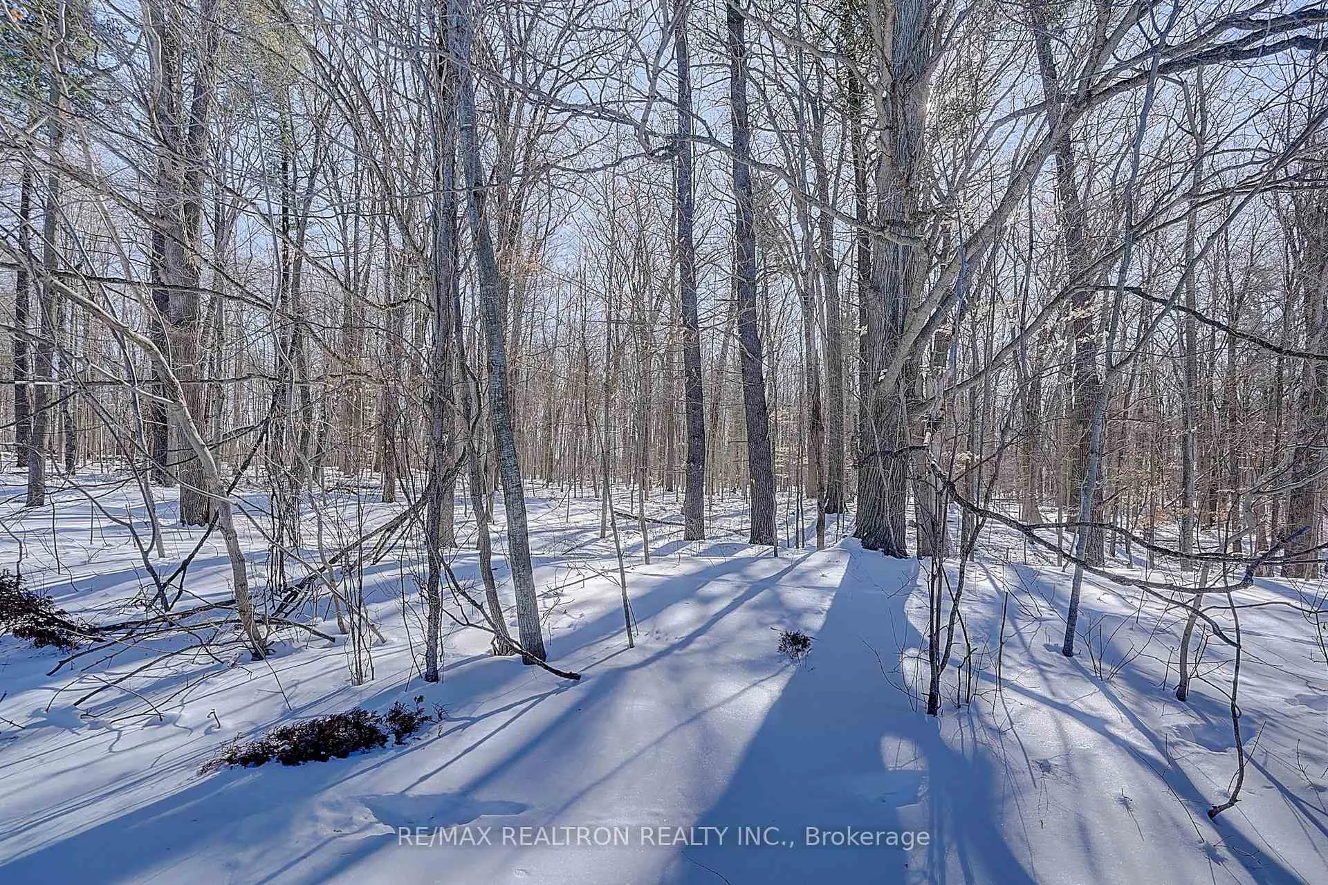 Photo 50 of 571 Davos Road, Vaughan, Vellore Village — HOMEH