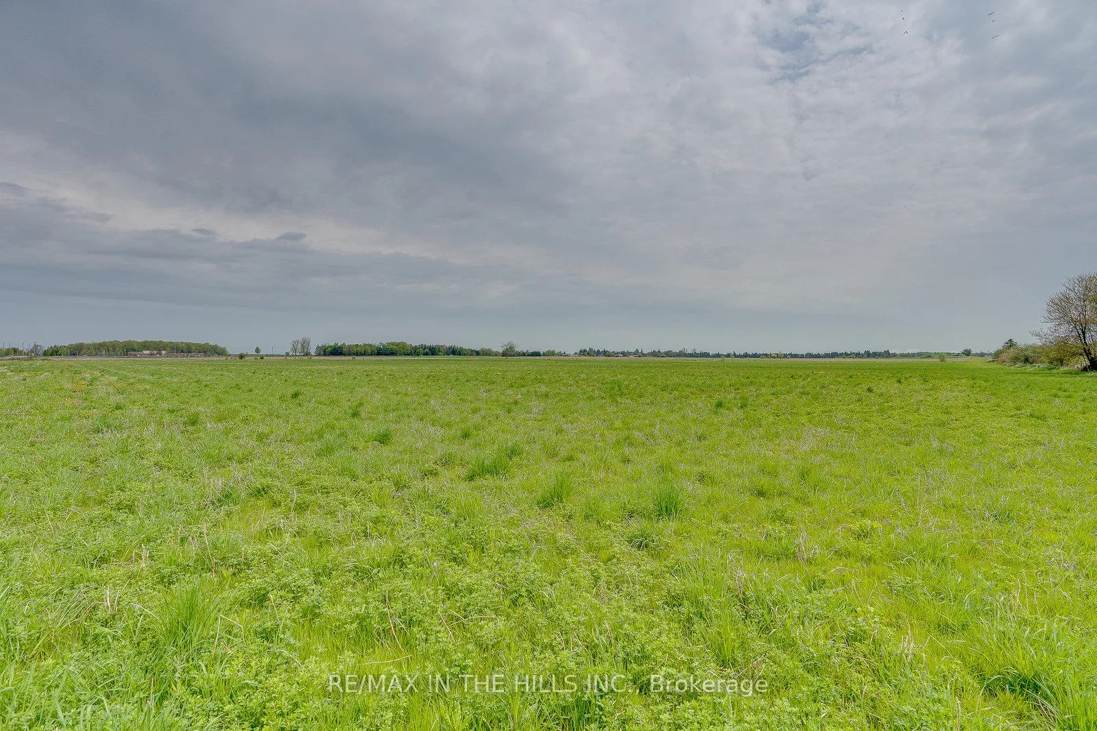 Photo 7 of 284342 Dufferin County 10 Road, Amaranth, Rural Amaranth — HOMEH