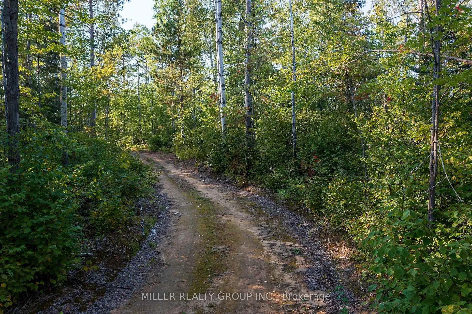 Photo 7 of 3257 Twin Lakes Rd A, Timiskaming, TIM - Outside - Rural — HOMEH