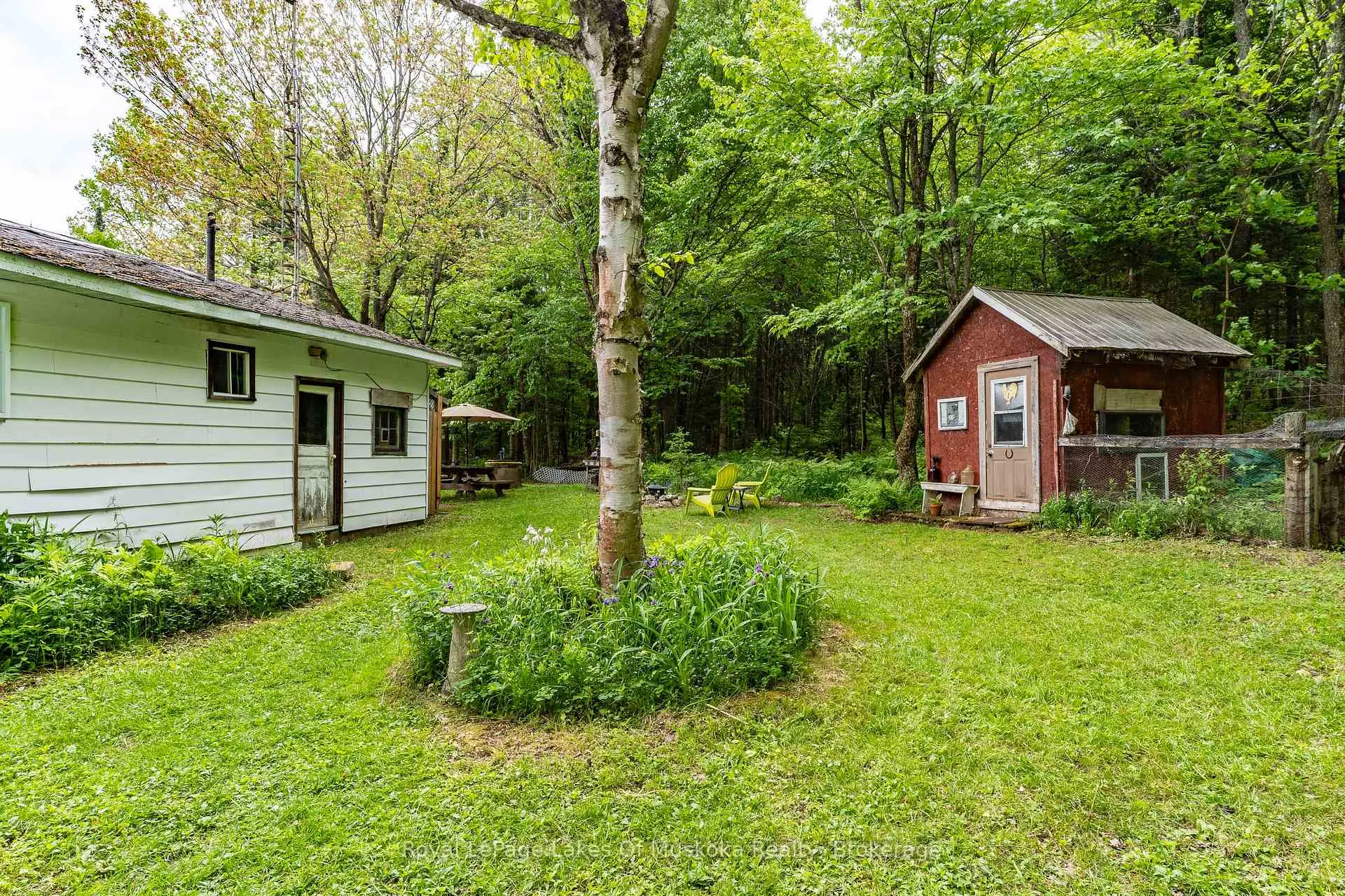 Photo 21 of 32 Old Rainy Lake Road, McMurrich/Monteith, Sprucedale — HOMEH