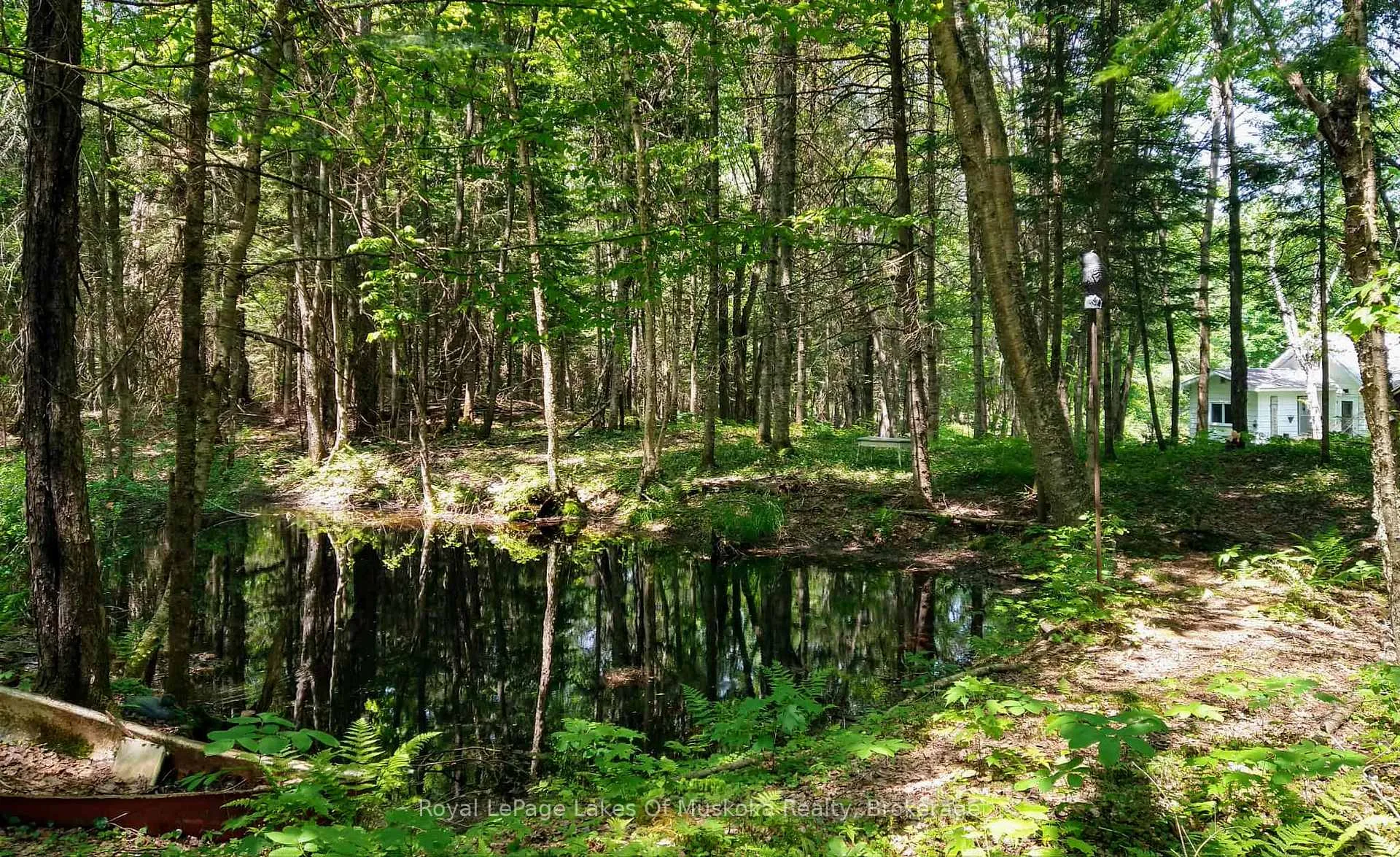 Photo 41 of 32 Old Rainy Lake Road, McMurrich/Monteith, Sprucedale — HOMEH