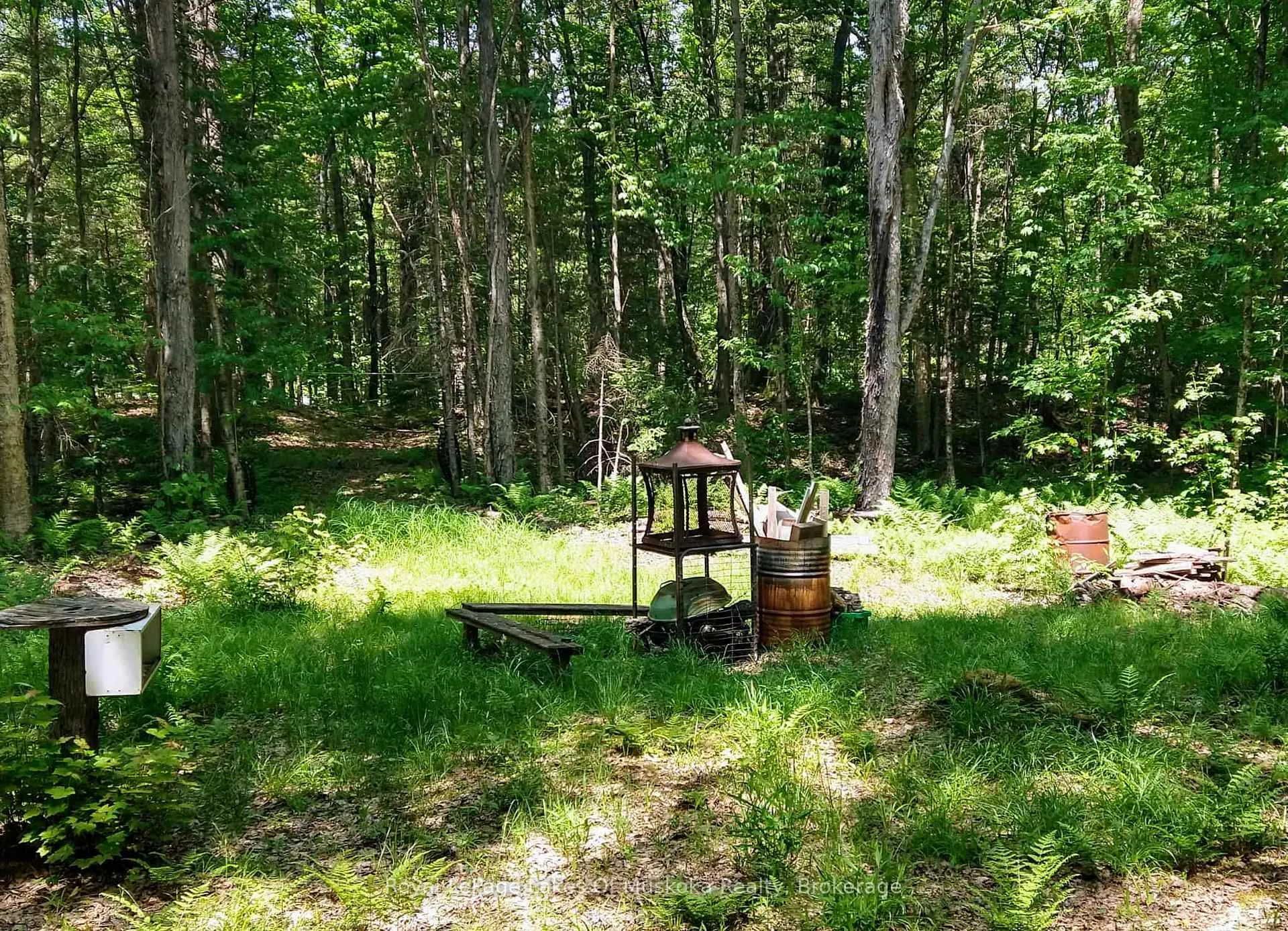 Photo 42 of 32 Old Rainy Lake Road, McMurrich/Monteith, Sprucedale — HOMEH