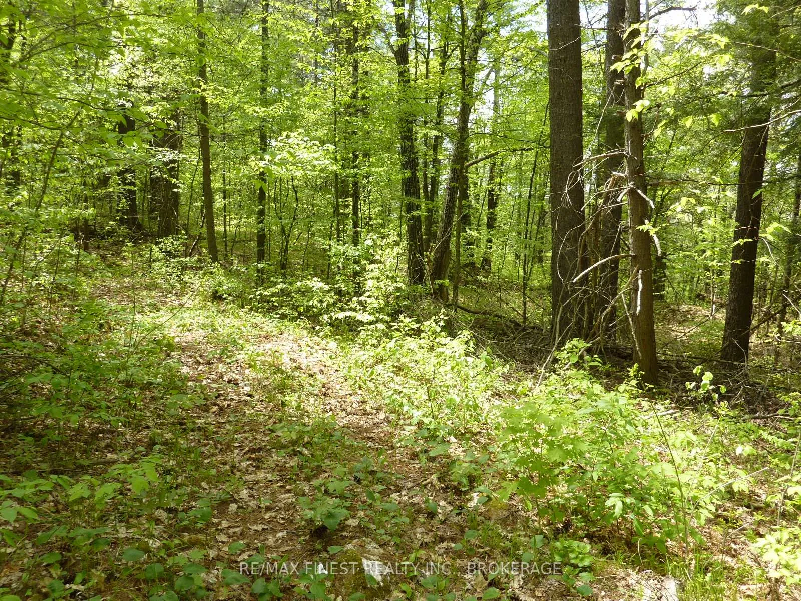 Photo 8 of 1265 West End Lane, Frontenac, Frontenac Centre — HOMEH