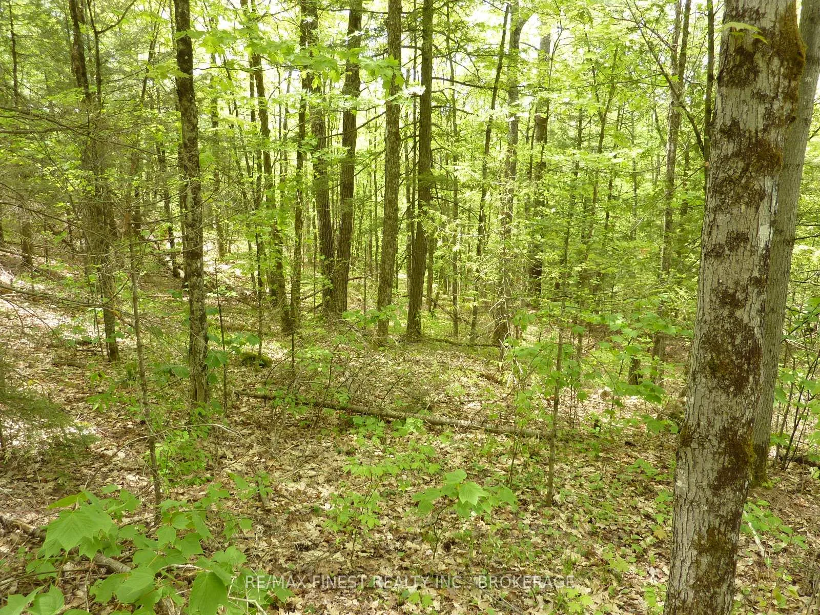Photo 9 of 1265 West End Lane, Frontenac, Frontenac Centre — HOMEH