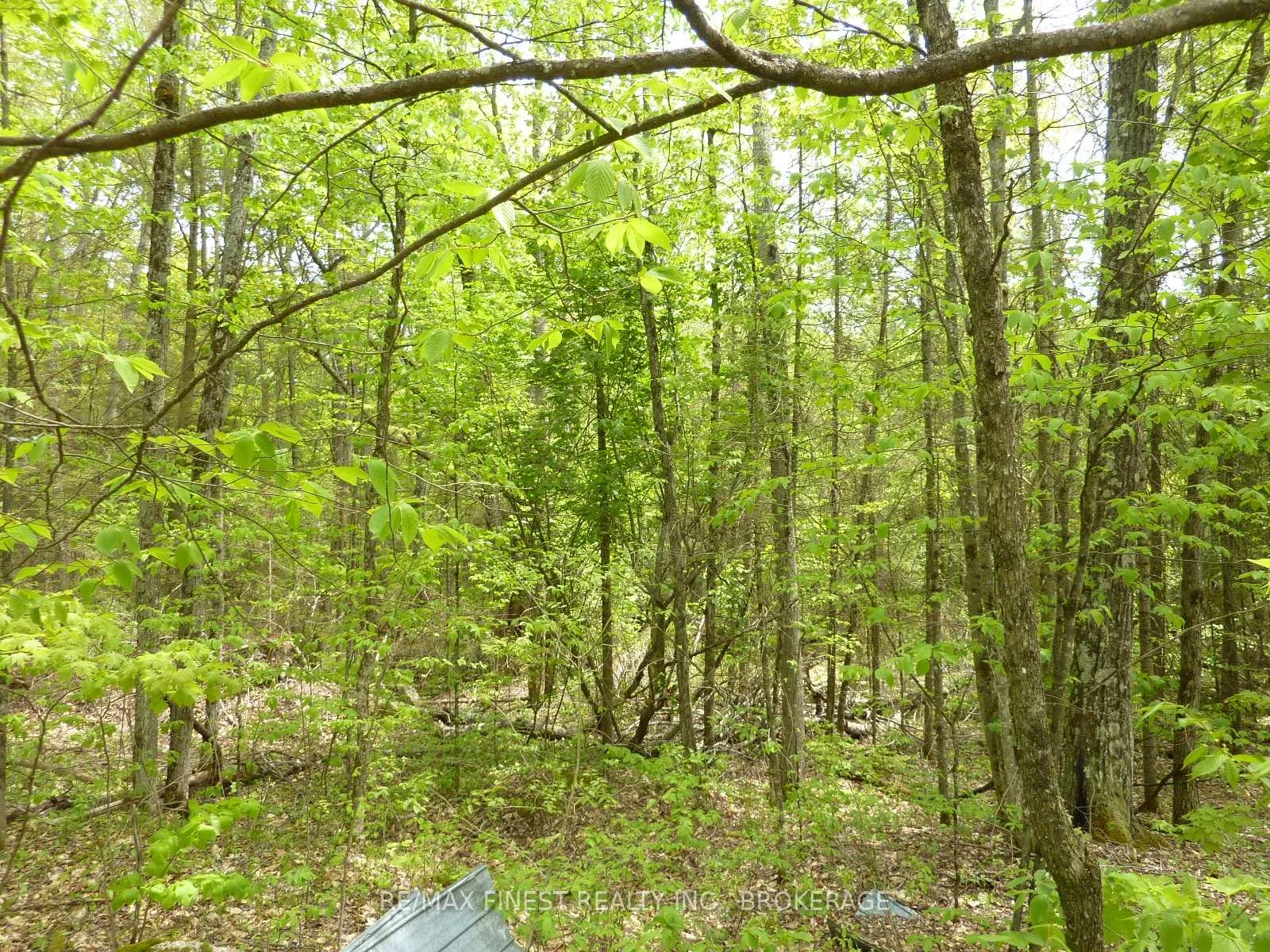 Photo 10 of 1265 West End Lane, Frontenac, Frontenac Centre — HOMEH