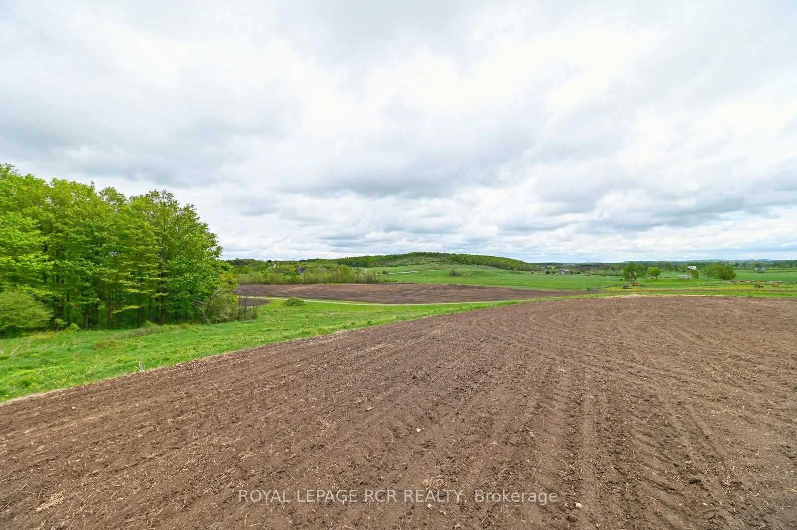 Photo 11 of 716582 1st Line E H S, Mulmur, Rural Mulmur — HOMEH