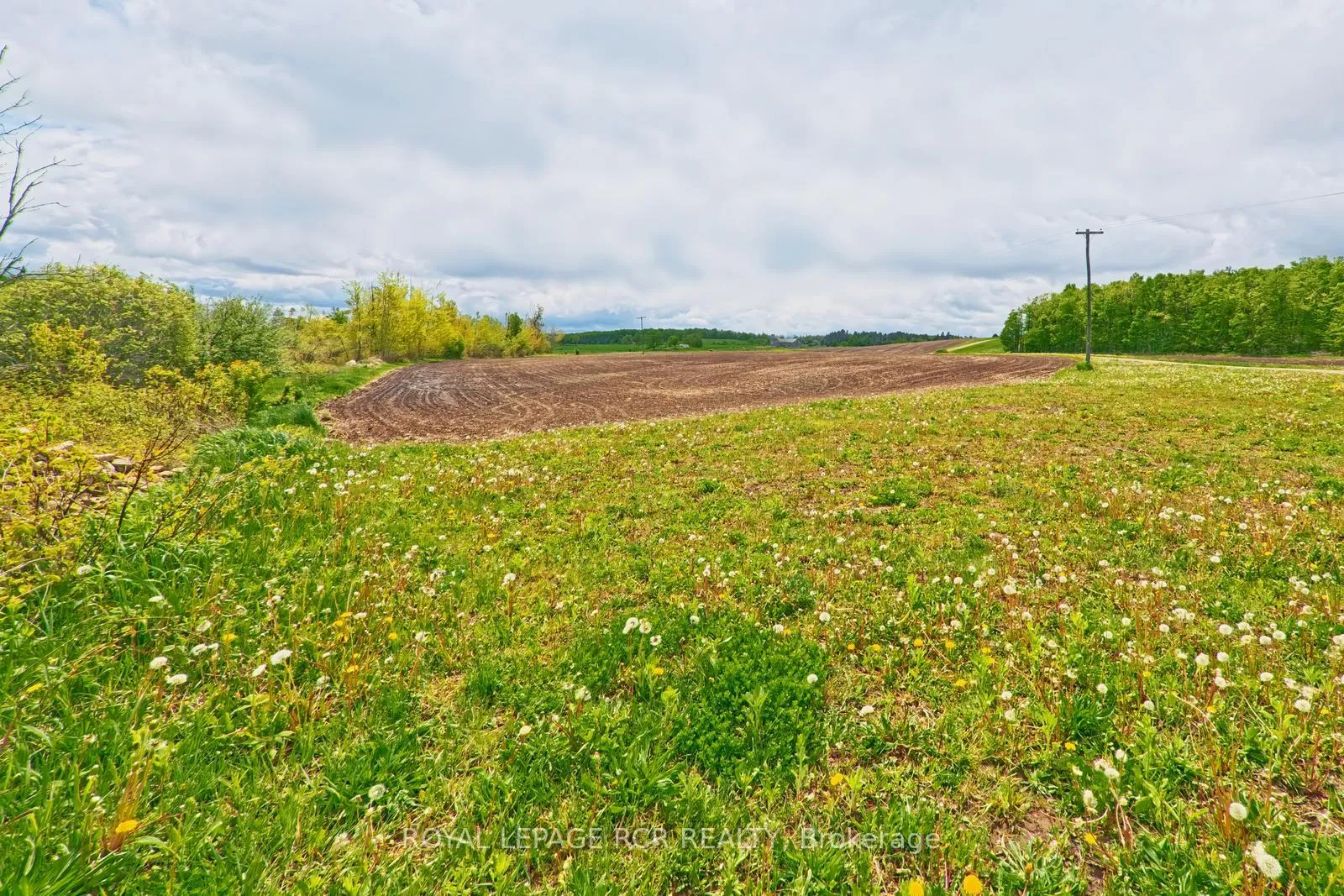 Photo 13 of 716582 1st Line E H S, Mulmur, Rural Mulmur — HOMEH