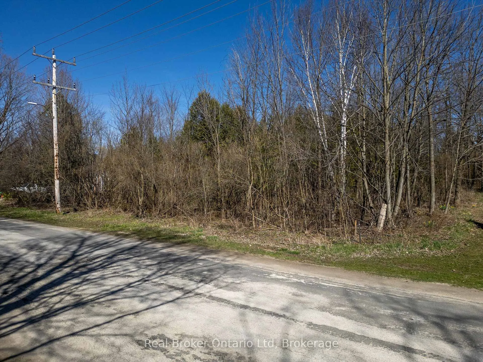 Photo 21 of Lt 24 Canrobert Street, Grey Highlands — HOMEH
