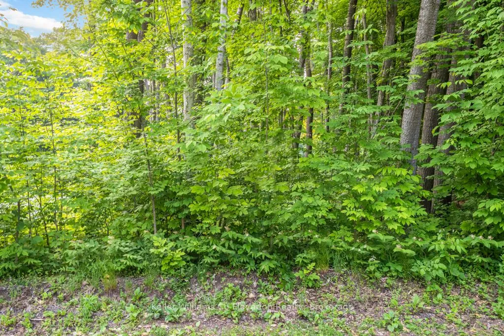 Photo 6 of Lot 5 Fairlawn Grove, Tiny, Rural Tiny — HOMEH