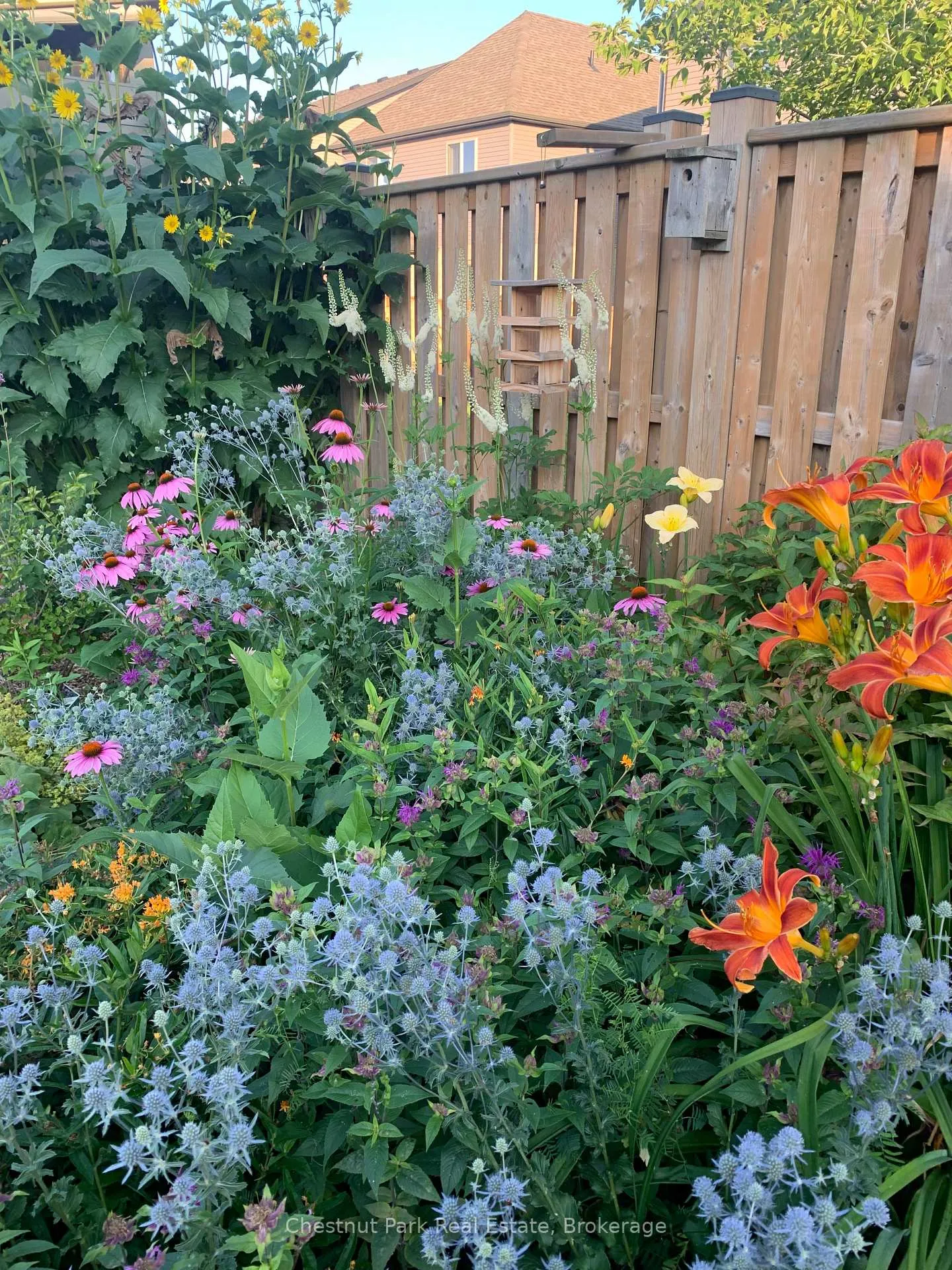 Photo 4 of 72 Hughes Street, Collingwood — HOMEH