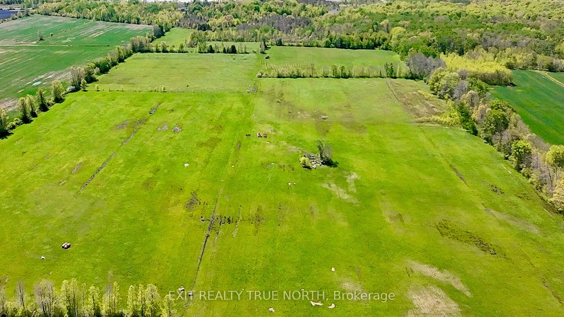 Photo 6 of 2071 Quarry Road, Severn, Coldwater — HOMEH