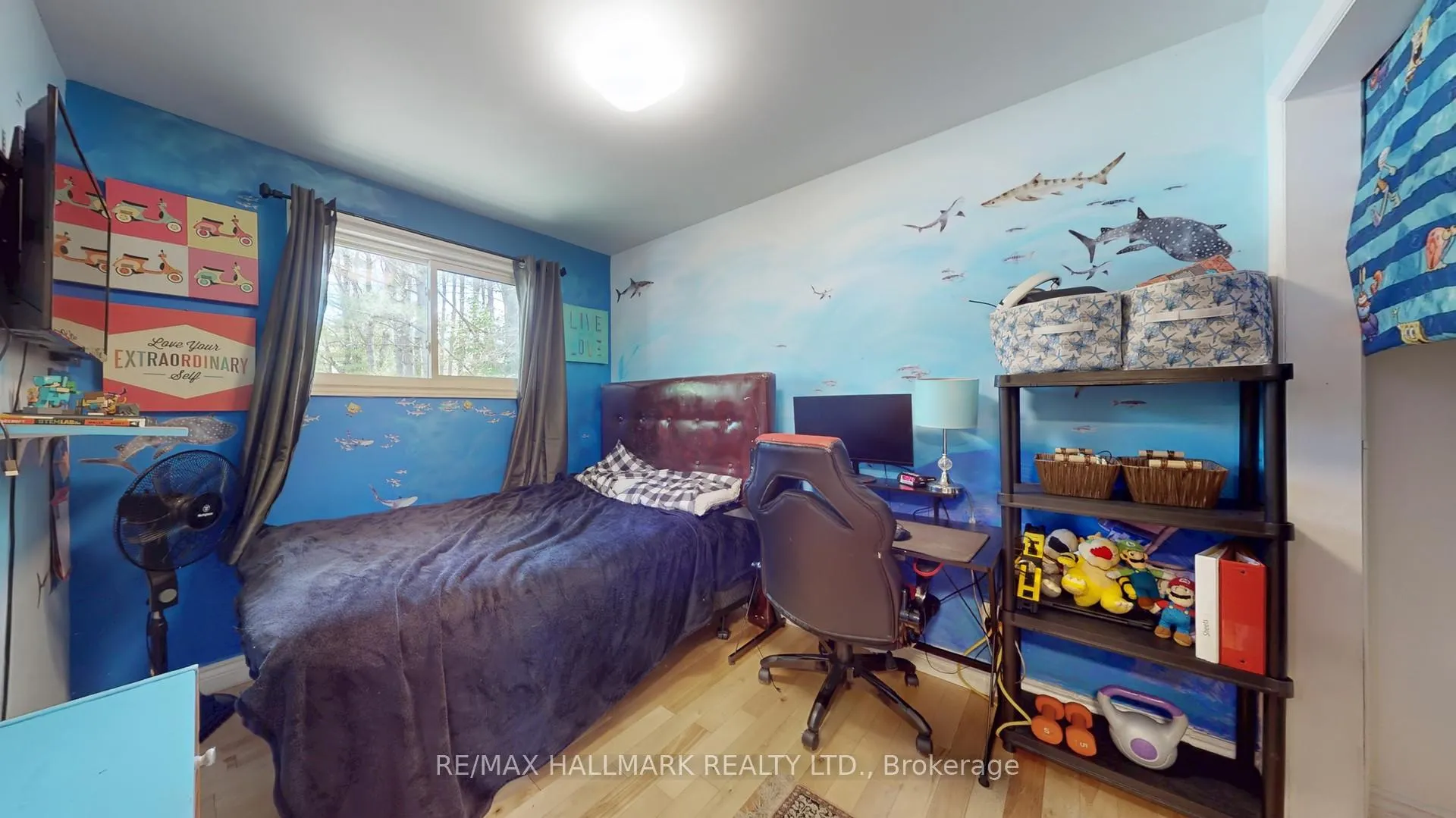 Photo 13 of 14 Sellens Avenue, Bracebridge, Macaulay — HOMEH