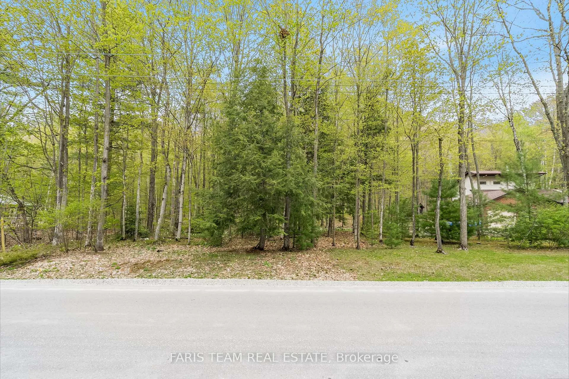 Photo 2 of 97 Tall Pines Drive, Tiny, Rural Tiny — HOMEH