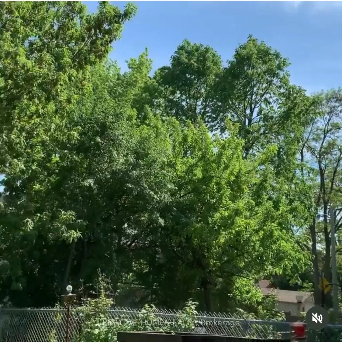 Photo 44 of 61 Woburn Avenue, Toronto, Lawrence Park North — HOMEH