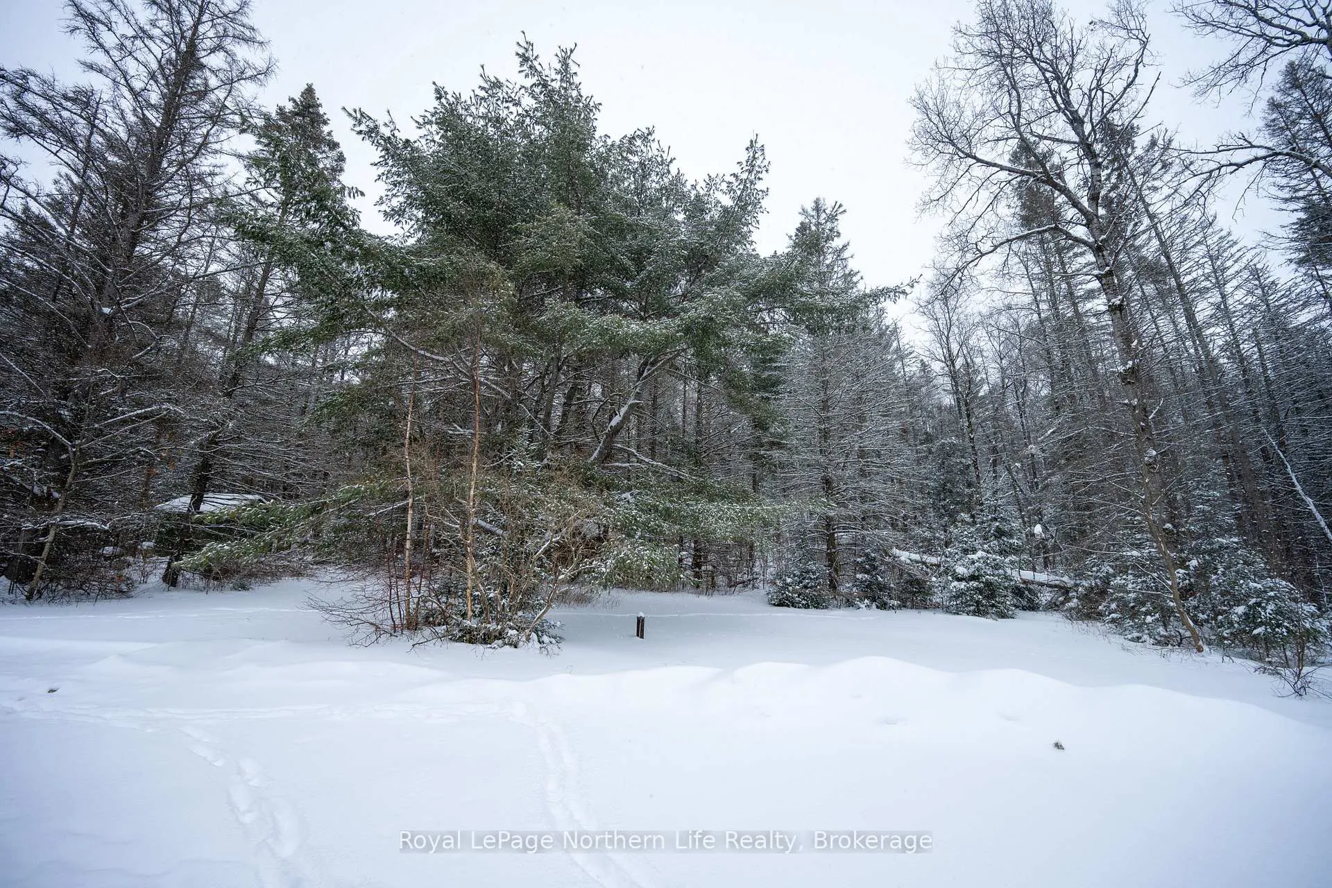 Photo 34 of 126 Highway 531, Bonfield — HOMEH