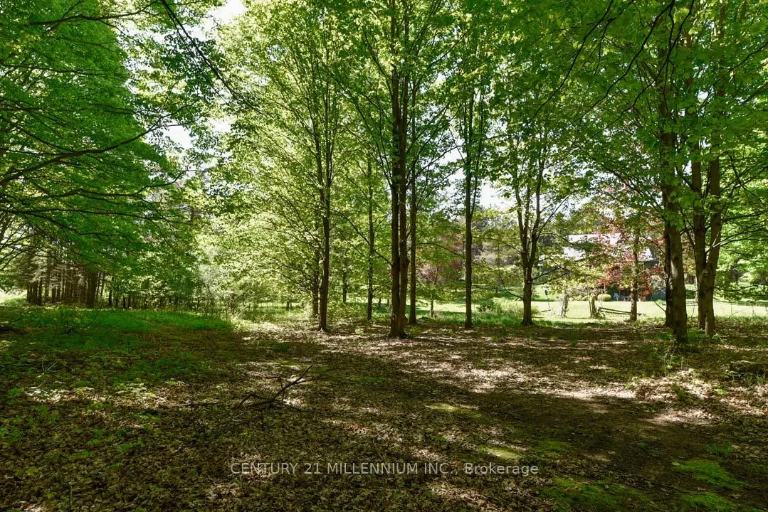 Photo 41 of 248504 5 Sideroad, Mono, Rural Mono — HOMEH