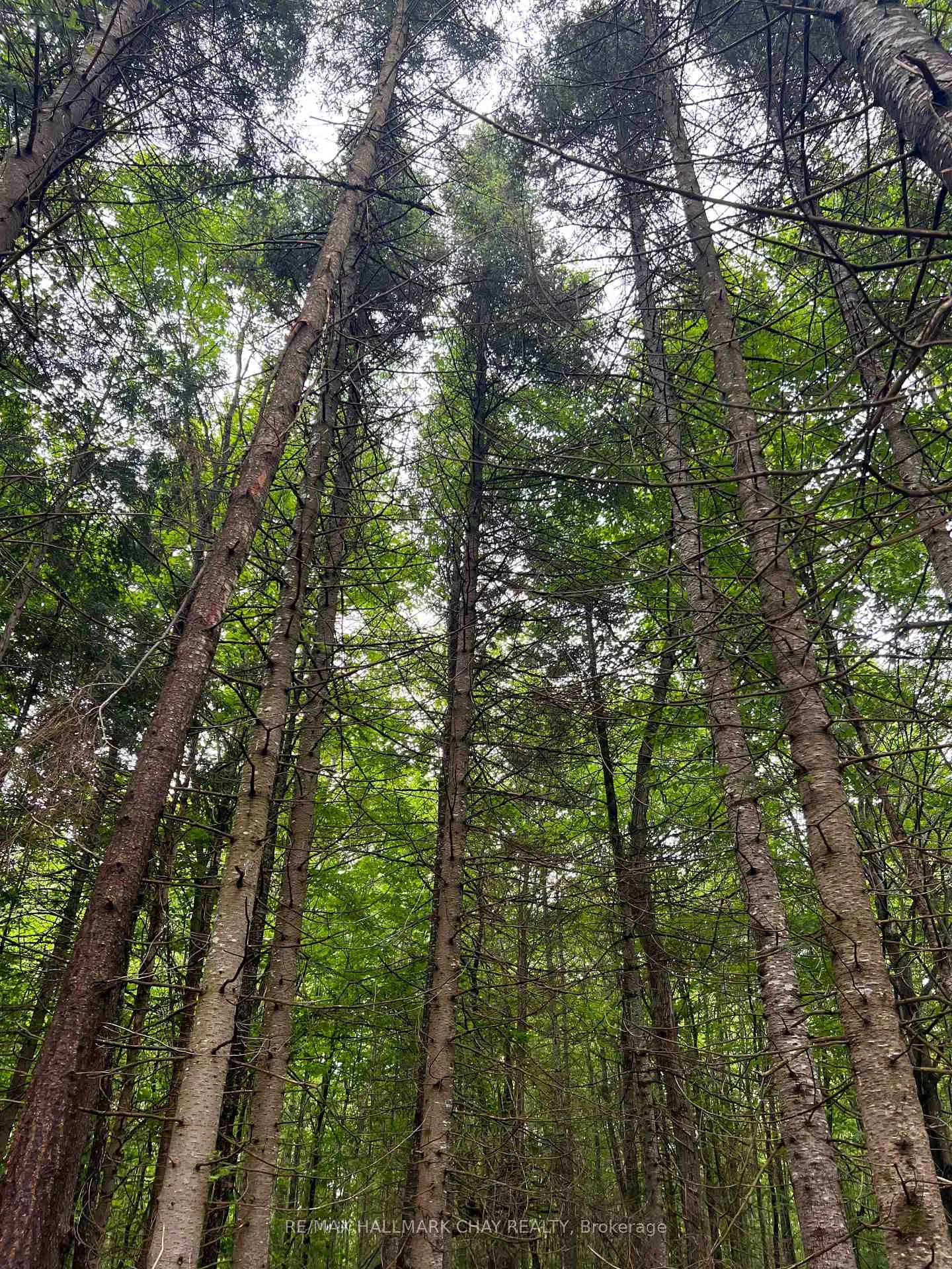 Photo 19 of Chapman Strong Road, Magnetawan — HOMEH