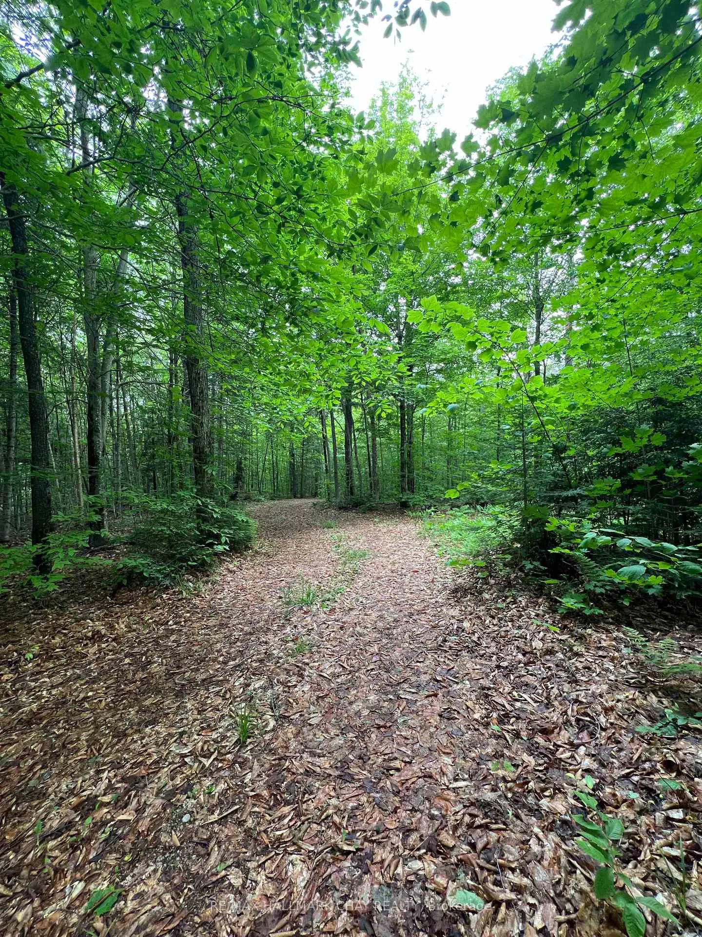 Photo 25 of Chapman Strong Road, Magnetawan — HOMEH
