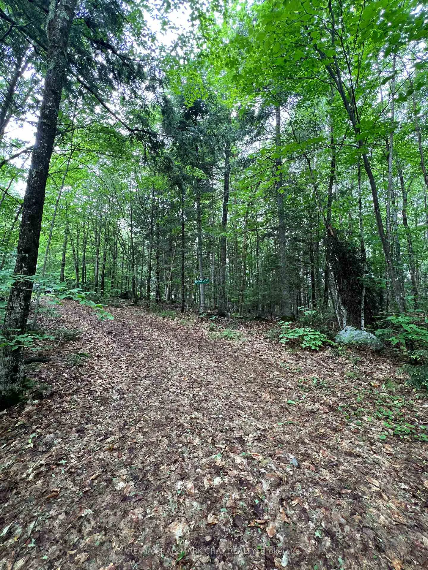Photo 26 of Chapman Strong Road, Magnetawan — HOMEH