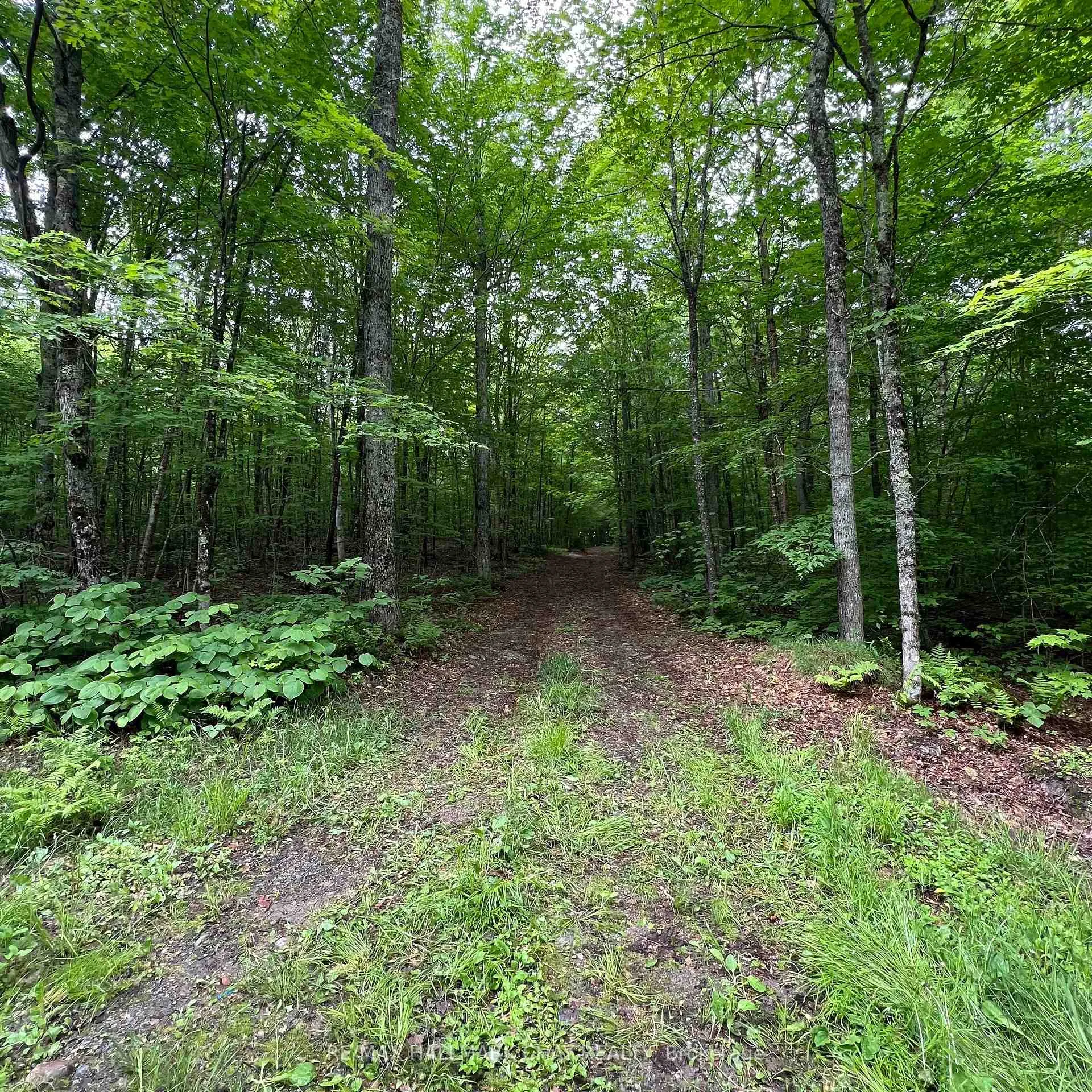 Photo 27 of Chapman Strong Road, Magnetawan — HOMEH