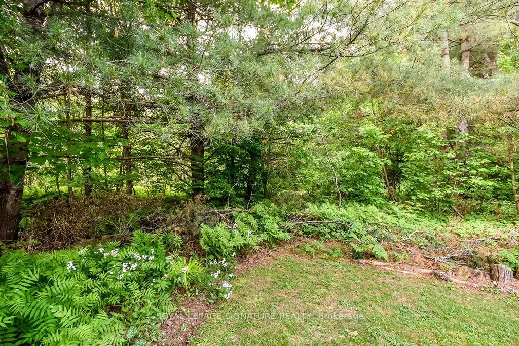 Photo 25 of 7 Windsong Crescent, Bracebridge, Macaulay — HOMEH
