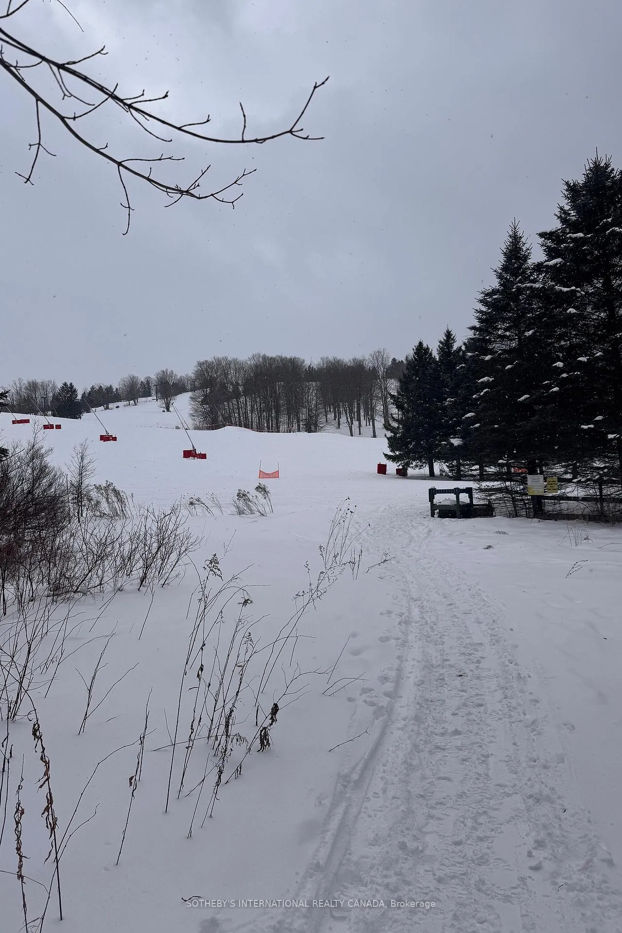 Photo 1 of 39 Pine River Crescent, Mulmur, Rural Mulmur — HOMEH