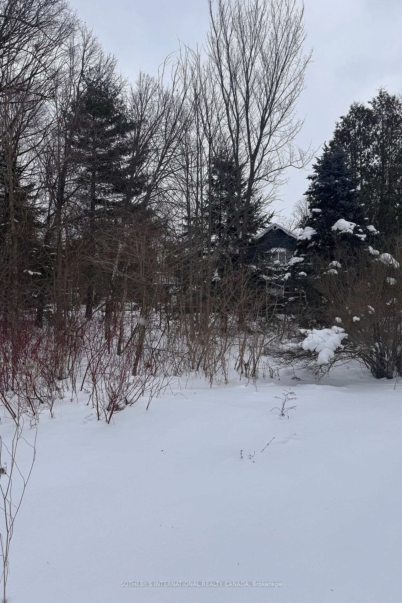 Photo 3 of 39 Pine River Crescent, Mulmur, Rural Mulmur — HOMEH