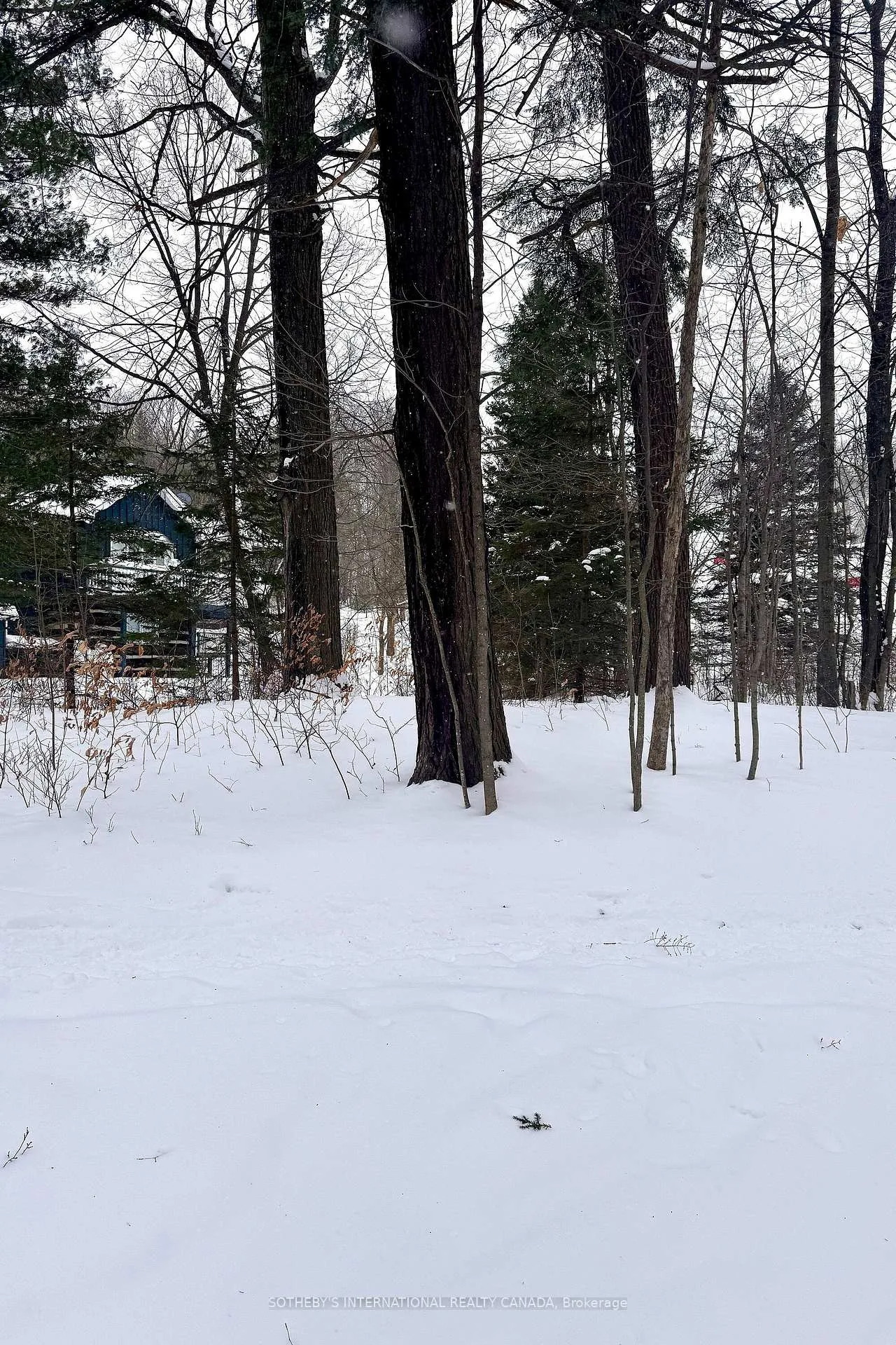 Photo 4 of 39 Pine River Crescent, Mulmur, Rural Mulmur — HOMEH